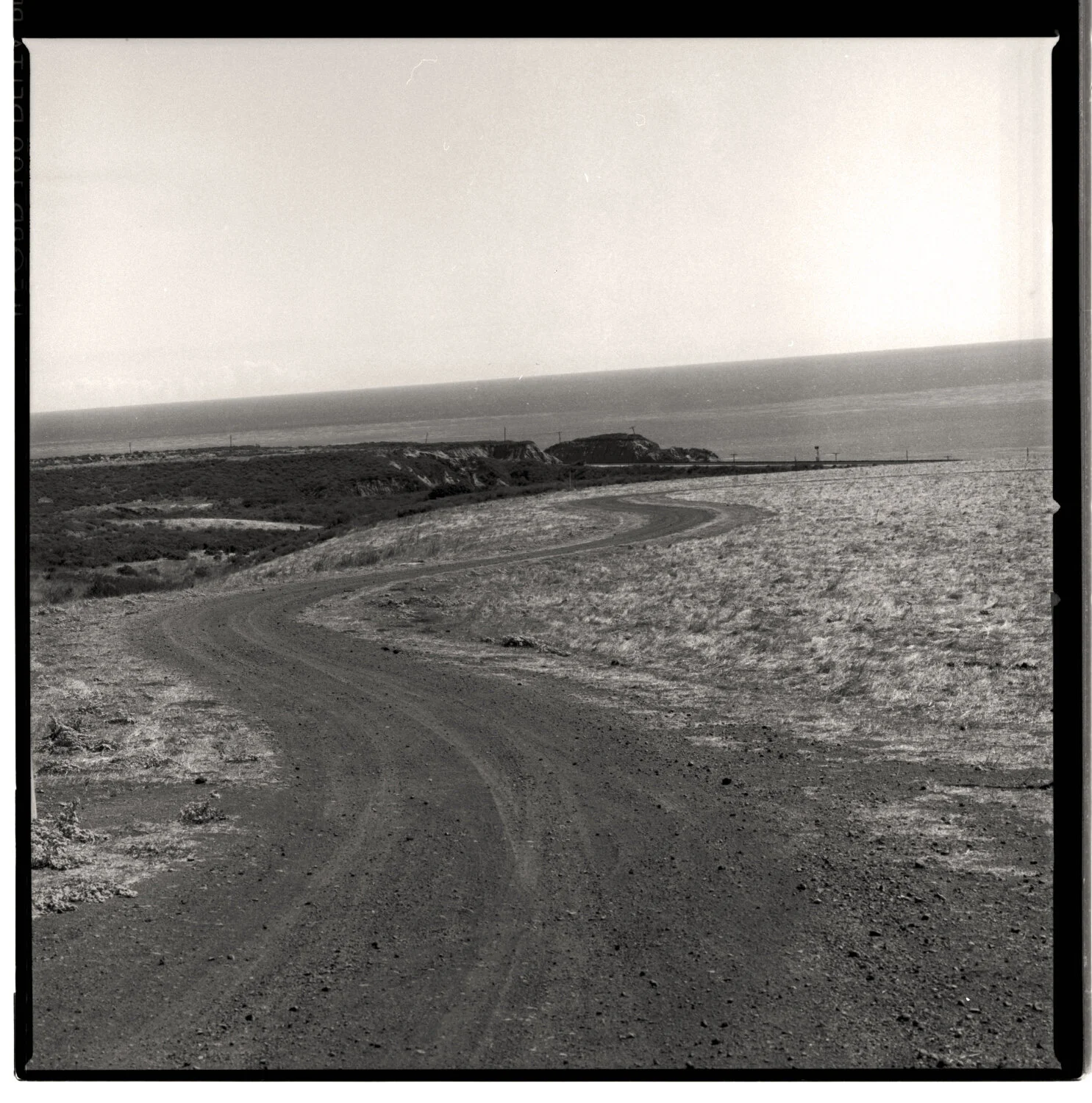 BUMMY_HASSY_TRIX 35 copy.jpg