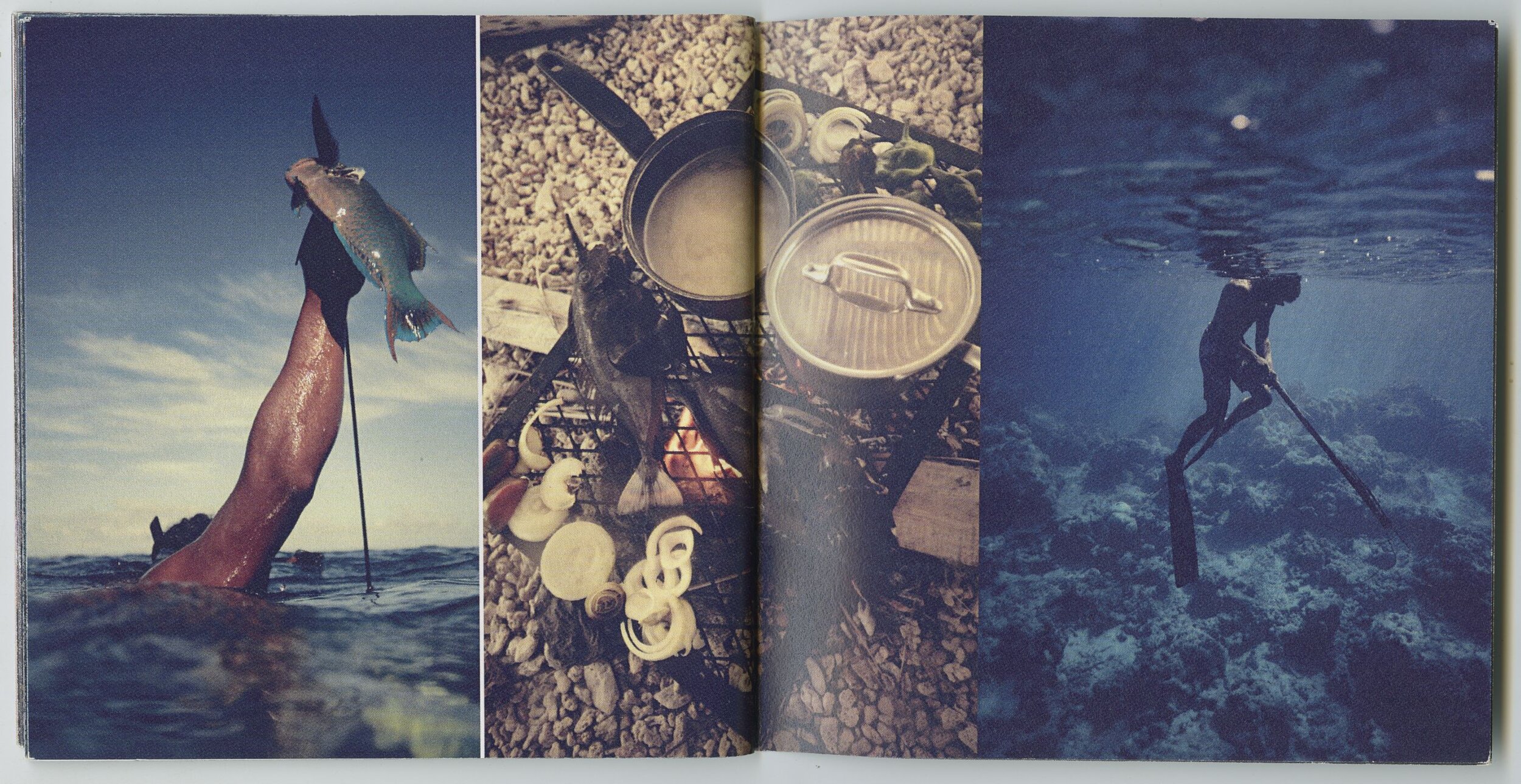 Screen Shot 2020-08-18 at 4 6 (17).jpg