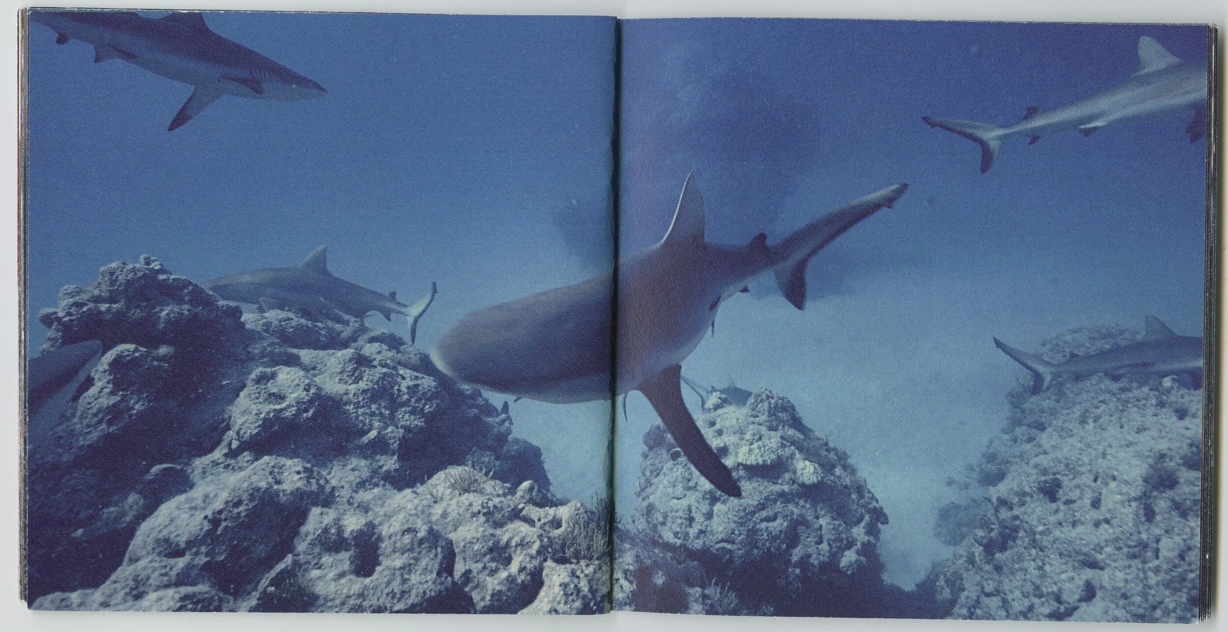 Screen Shot 2020-08-18 at 4 6 (12).jpg