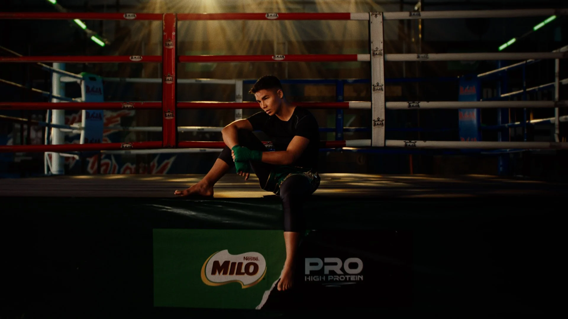 MiloPro 11.jpg