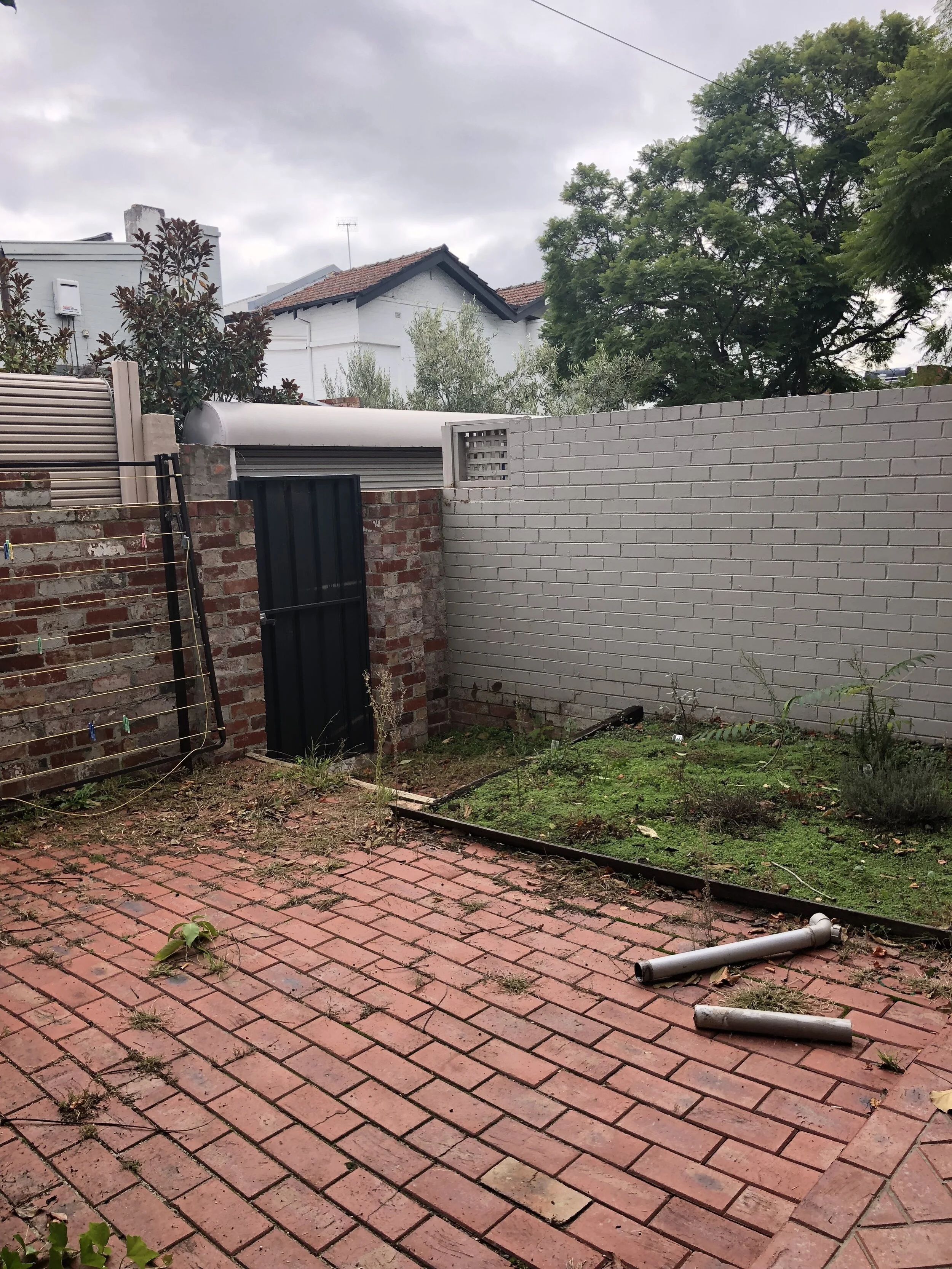 Garden_1223.JPG