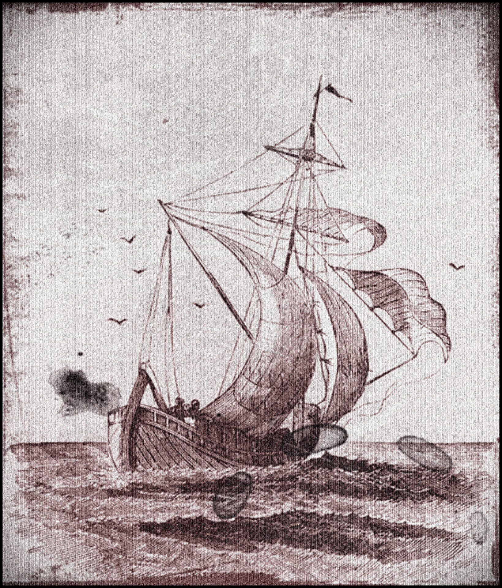 ship-921852_1920.jpg