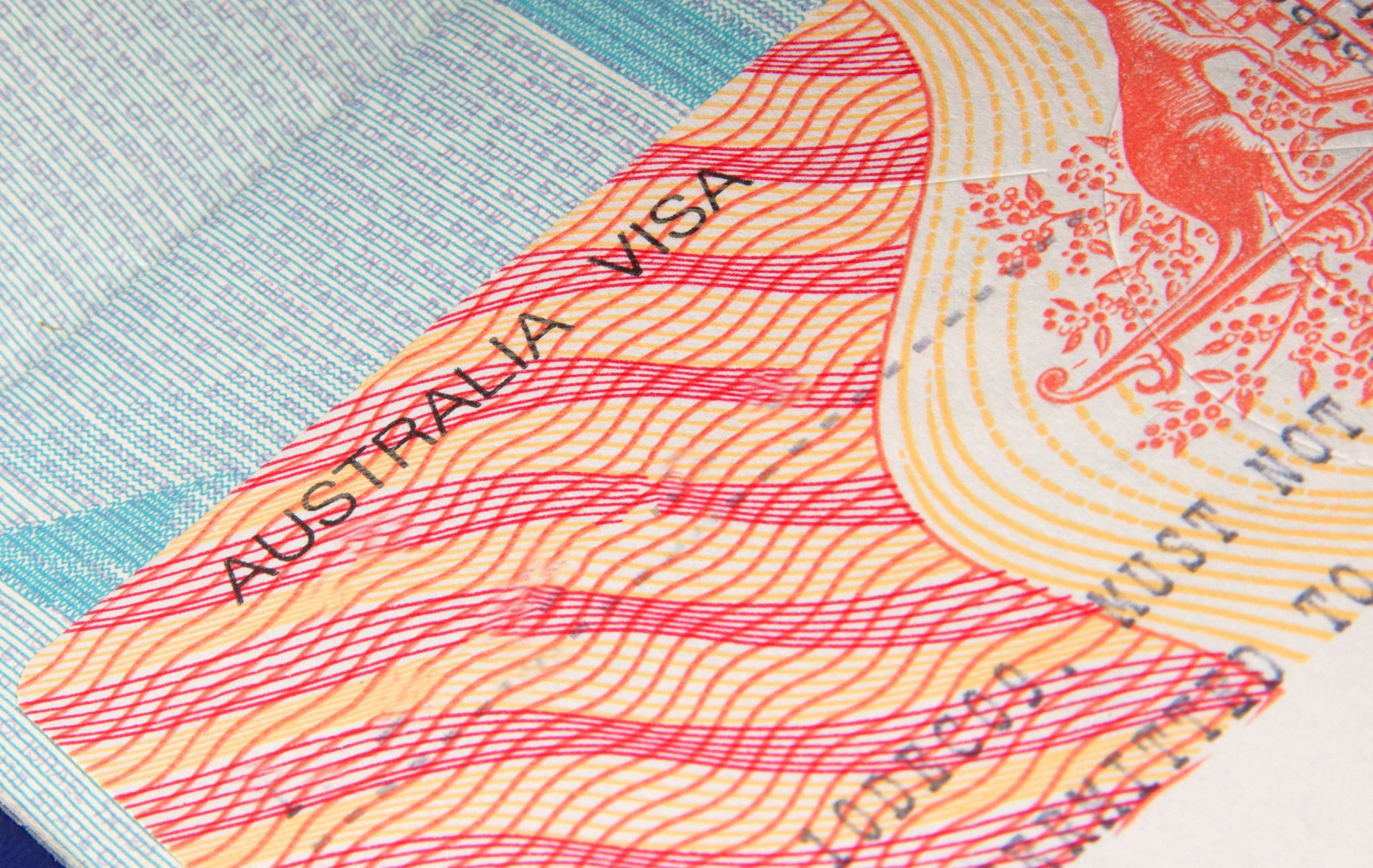 photo.jpg