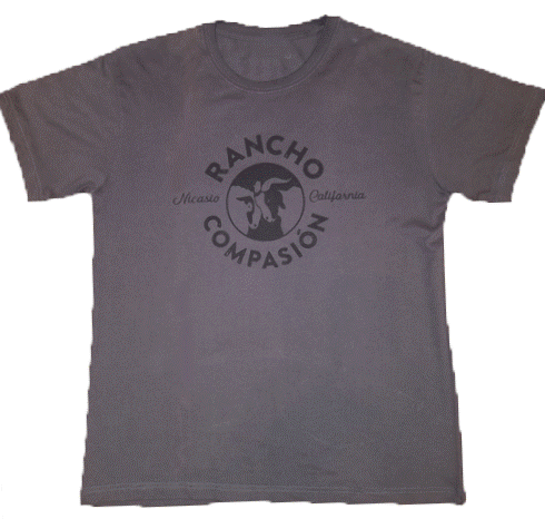 shirt-front.gif