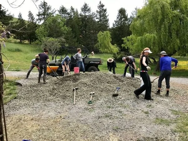 Volunteer Work Weekend, December 19-20