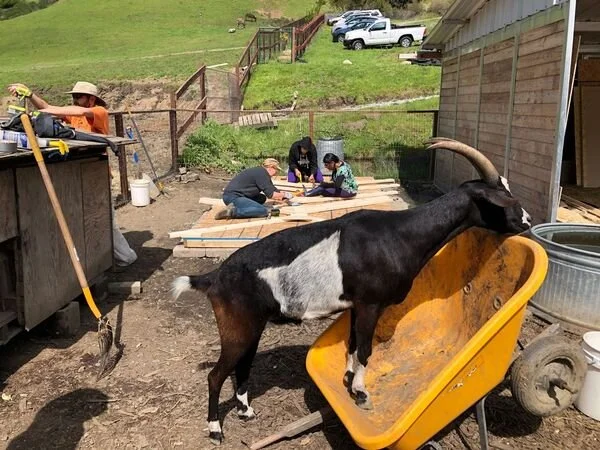 Volunteer Workday: Sunday, April 11th