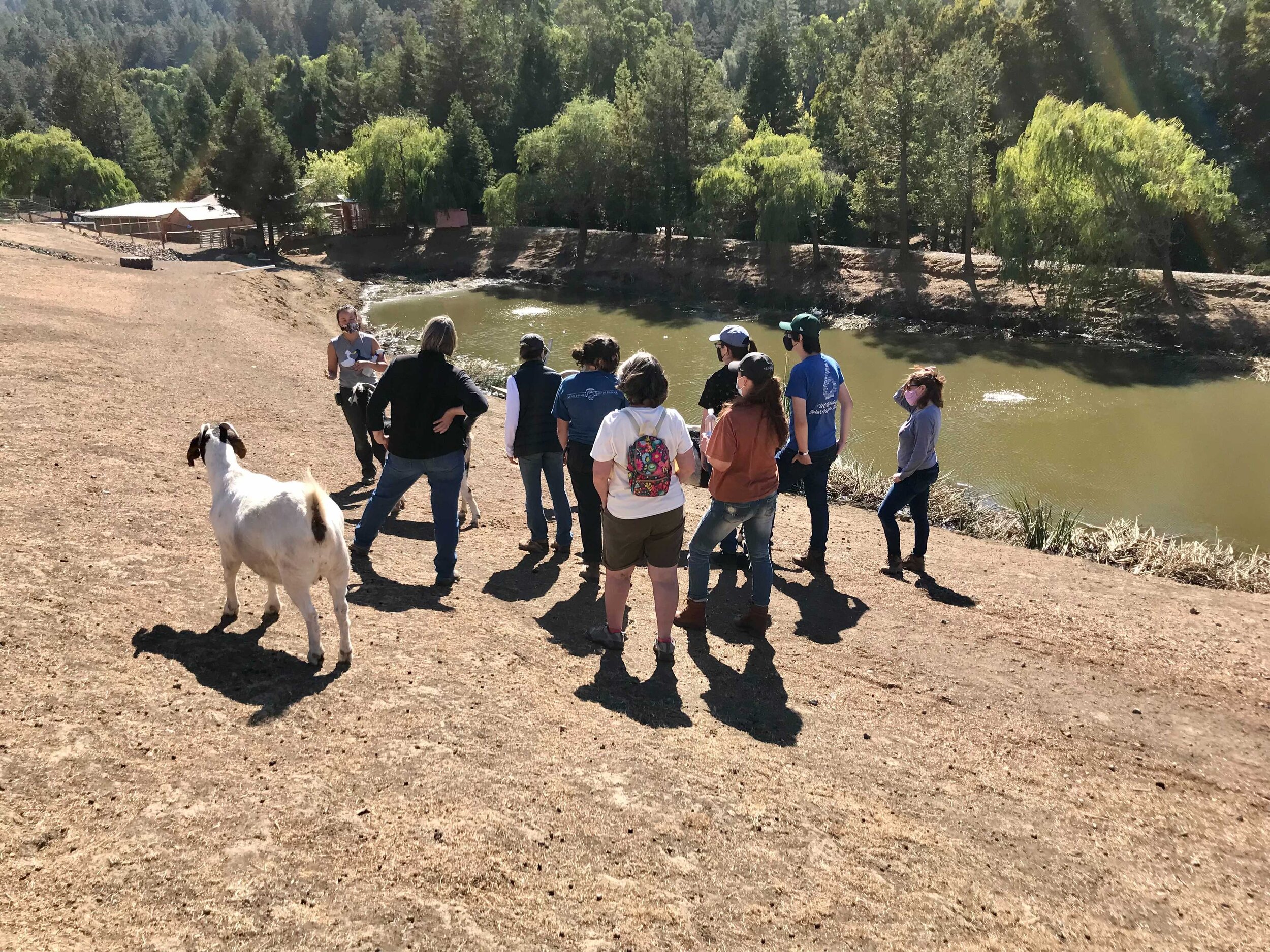 Image from iOS (30).jpg