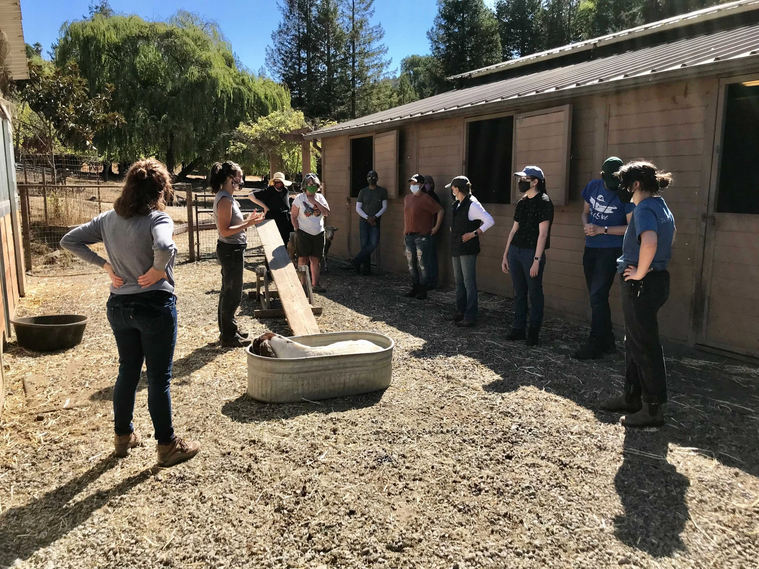 Image from iOS (20).jpg