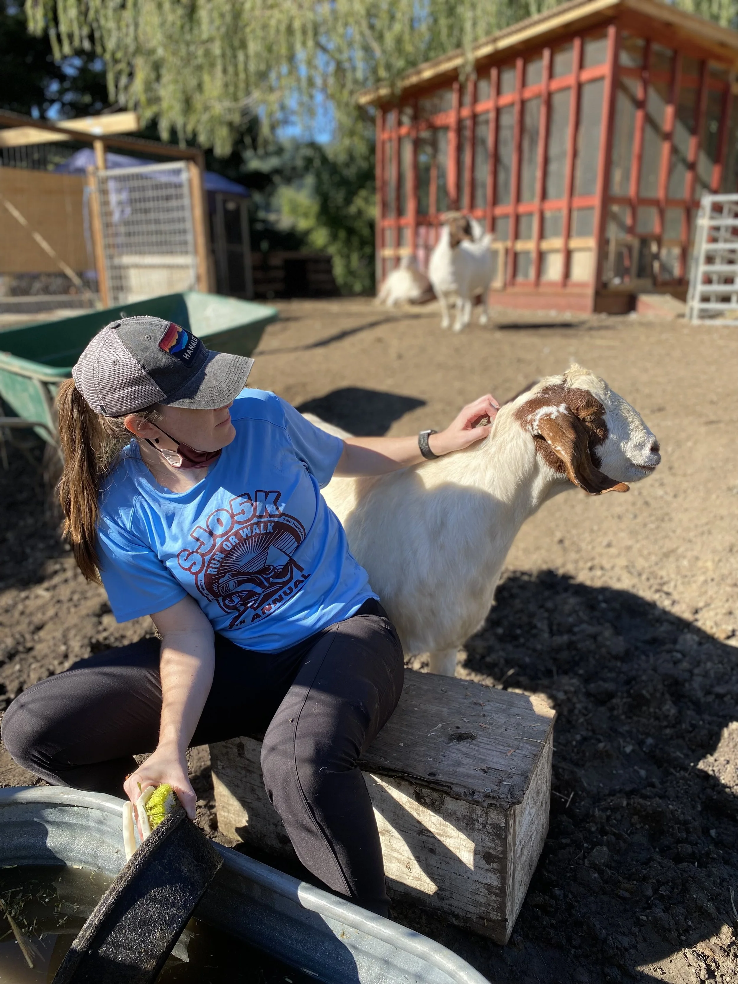 Monthly Volunteer Work Party & Potluck (Copy)