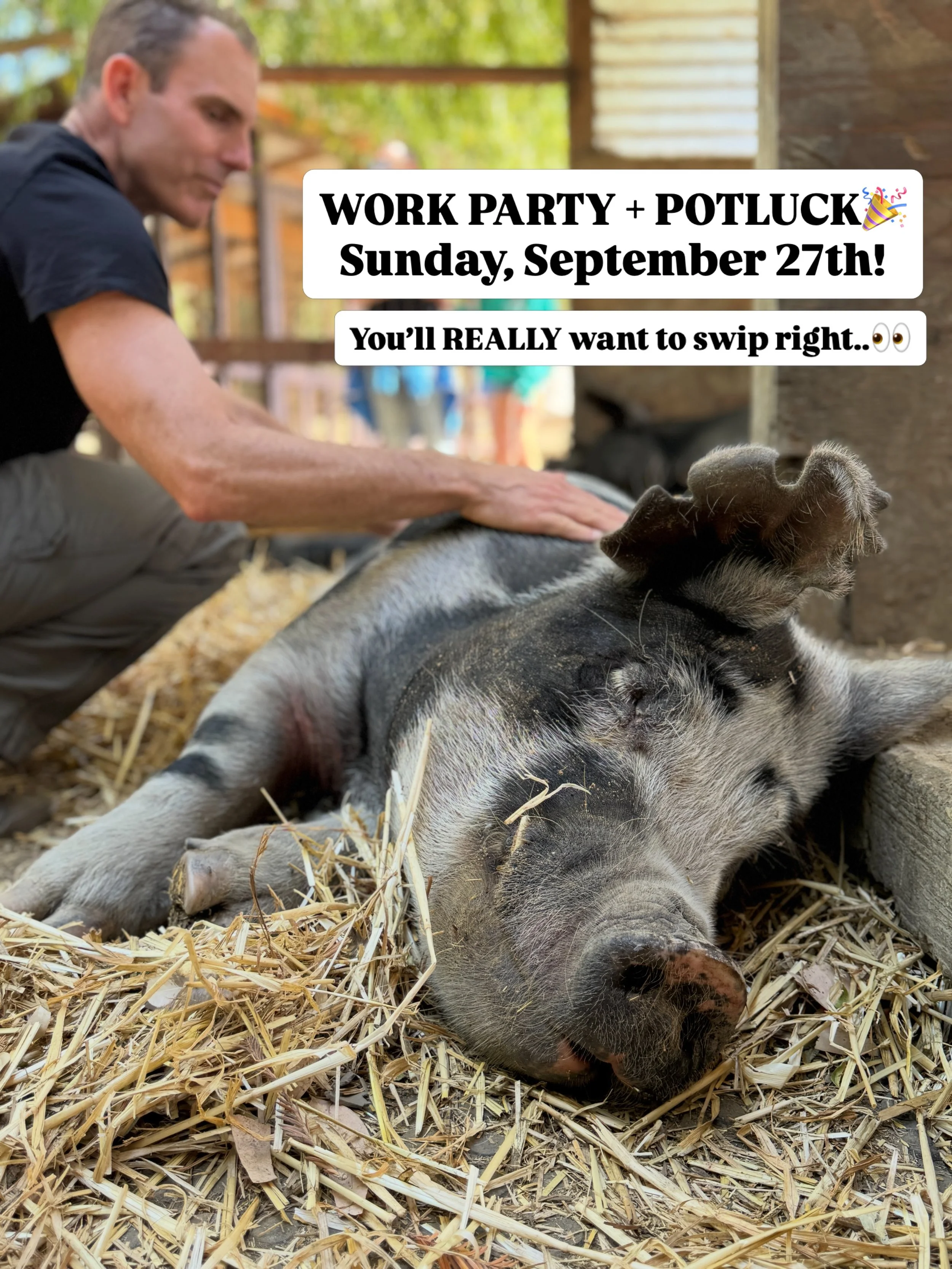 📣Join Us for a Work Party &amp; Potluck! 📣
Sunday, September 27th
9:00AM-1:30PM

It&rsquo;s that time of year again! We&rsquo;re getting ready for the change in seasons and could use some extra helping hands to make sure we create a healthy, safe, 