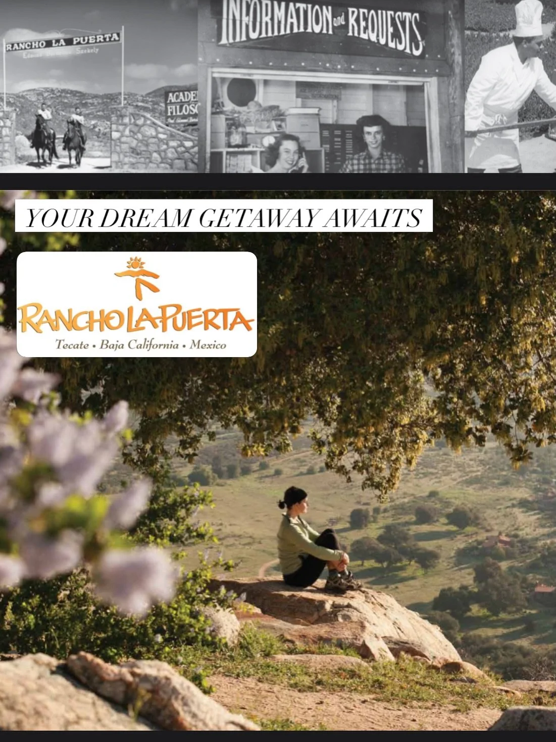 LIVE AUCTION SPOTLIGHT: @rancholapuerta ! ✨

Seven nights in paradise? Yes, please!  Escape to Rancho La Puerta, the world-renowned wellness retreat nestled in the beautiful mountains of Baja California, Mexico. Seven nights surrounded by breathtakin