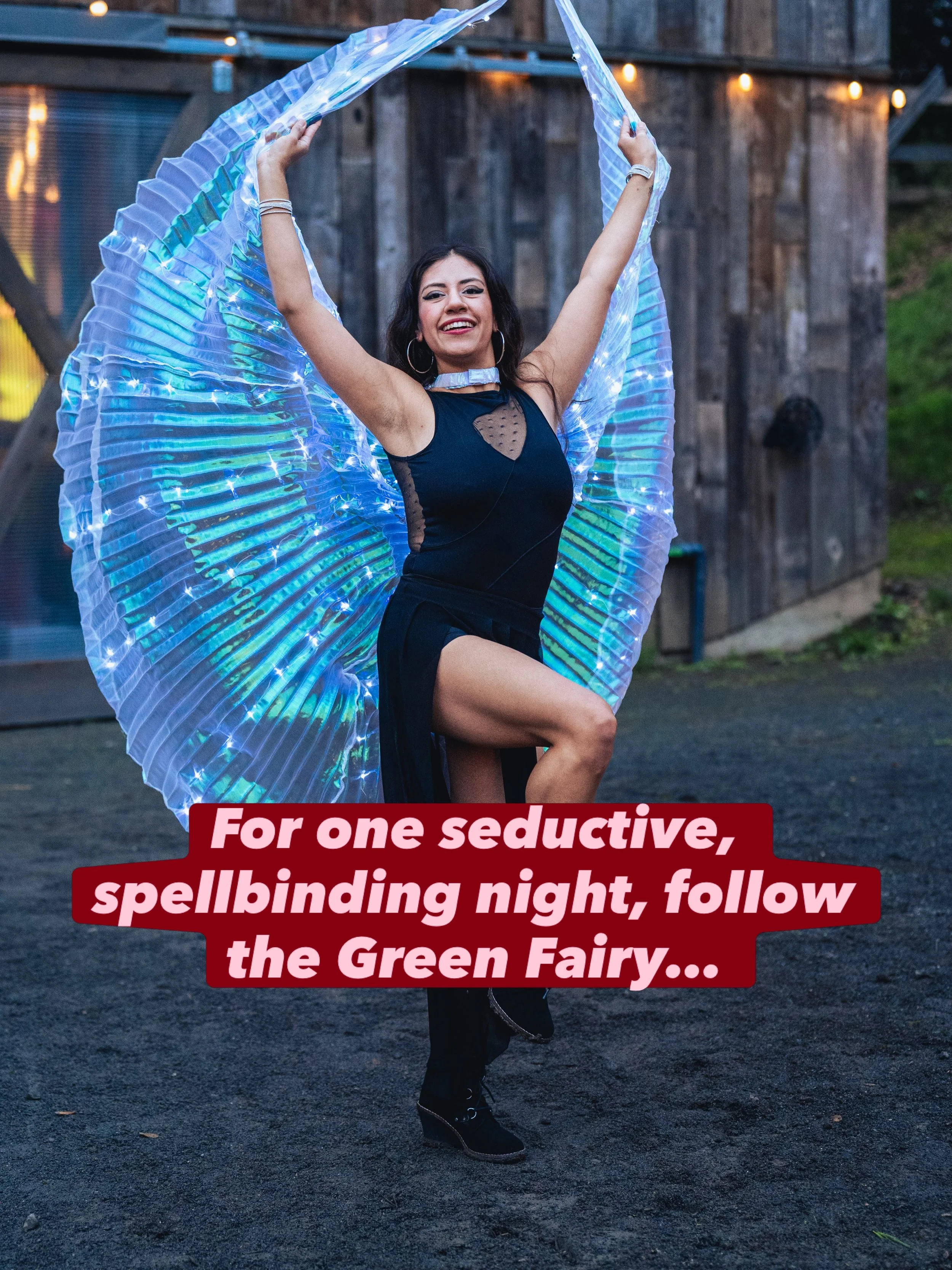 Follow the Green Fairy into a world of magic, sparkle, and compassion! Join us for Moo-lin Rouge, our 2nd Annual Gala on November 7th, for an unforgettable evening celebrating Truth, Beauty, Freedom &amp; Love - all in support of our rescued farmed a