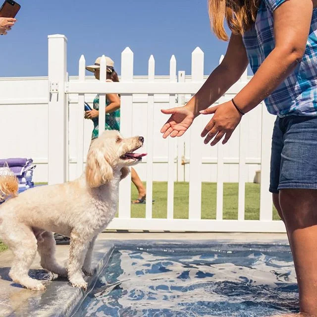 Had the honor to take some photos at the one year anjiversary of @socalmaltipoolovers 🐾🐶
&gt;
&gt;&gt;
PS: if you have a maltipoo and are in so cal, definitely link up with them! You get to meet once a month with other maltipoo parents and have you