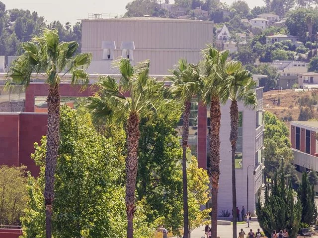 Friday morning :)
.
.
.
#calstatela #ig_capture #ig_color #photomagic #photooftheday #igfotogramers #losangeles #losangelesgrammers #discoverglobe #discover_earthpix #discoverLA #universitylife #campusview #campus #csu #collegelife #colleges #socalwe