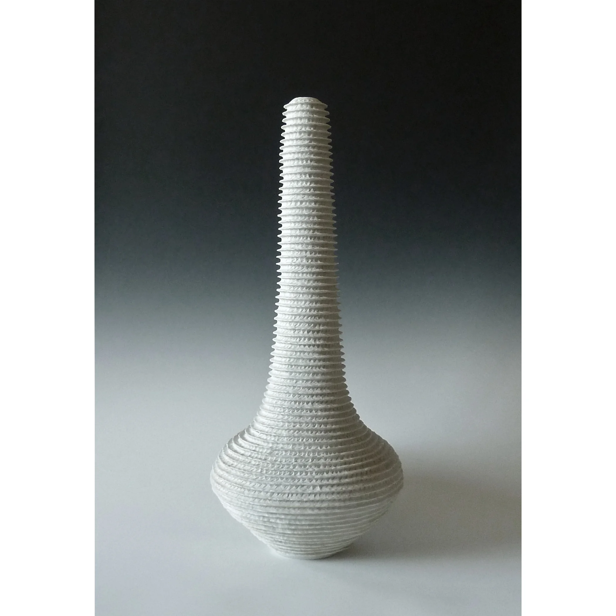 Ribbed Vessel