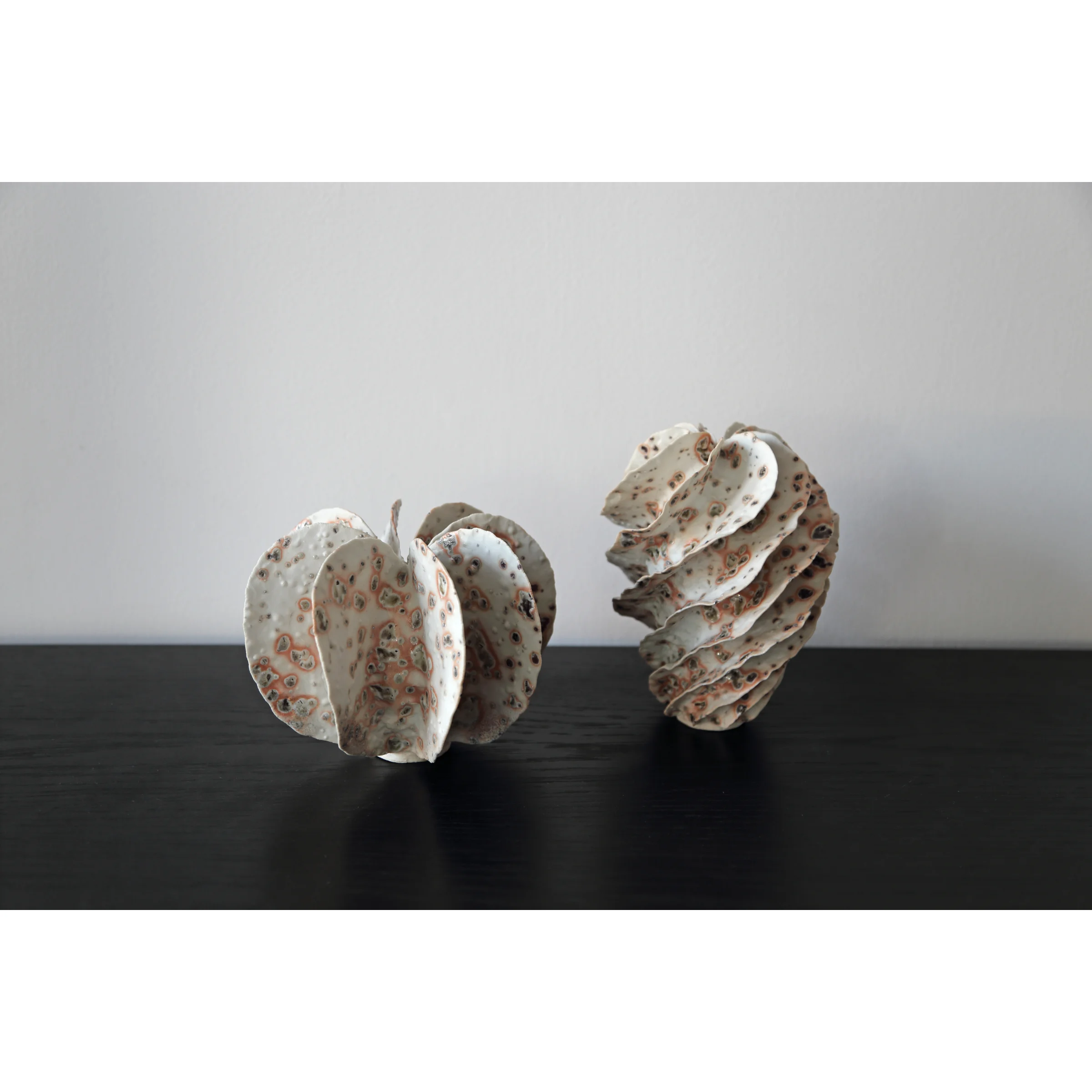 Spotted Spiral Vessel