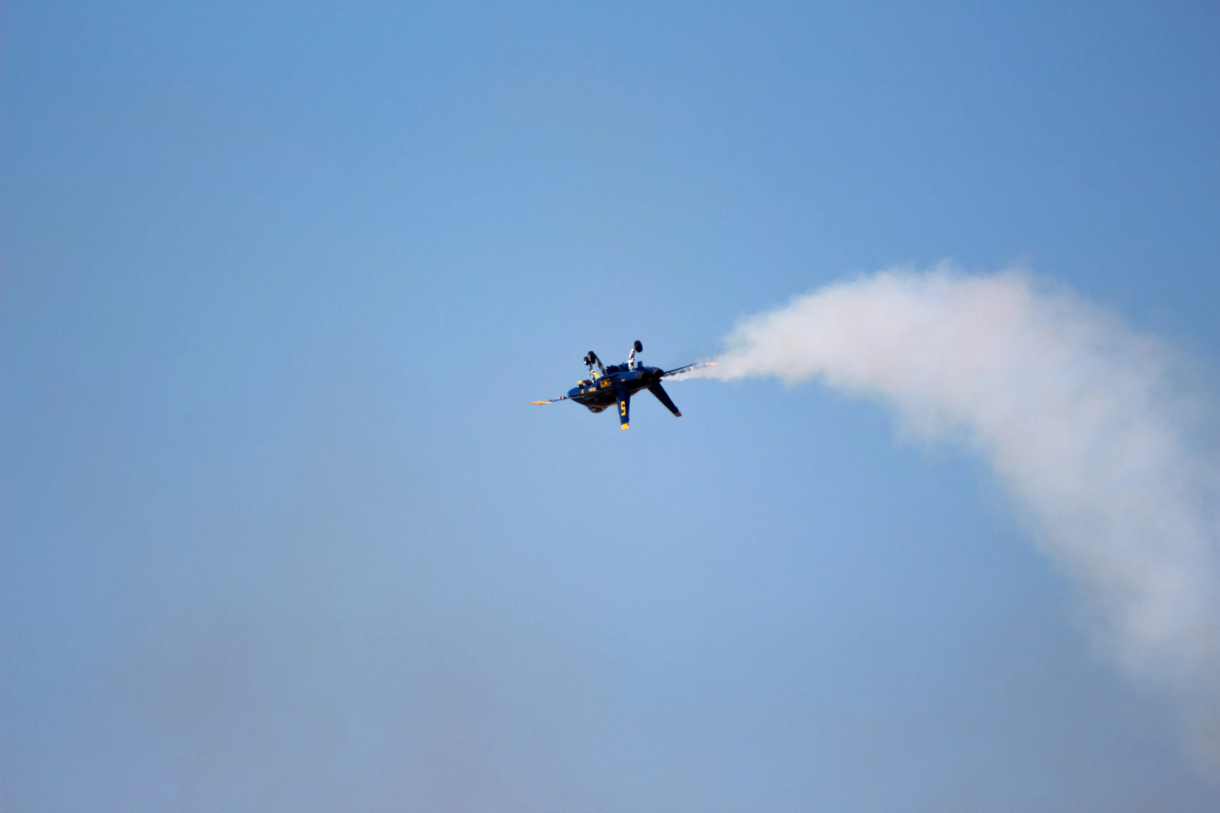 IMG_9639.jpg