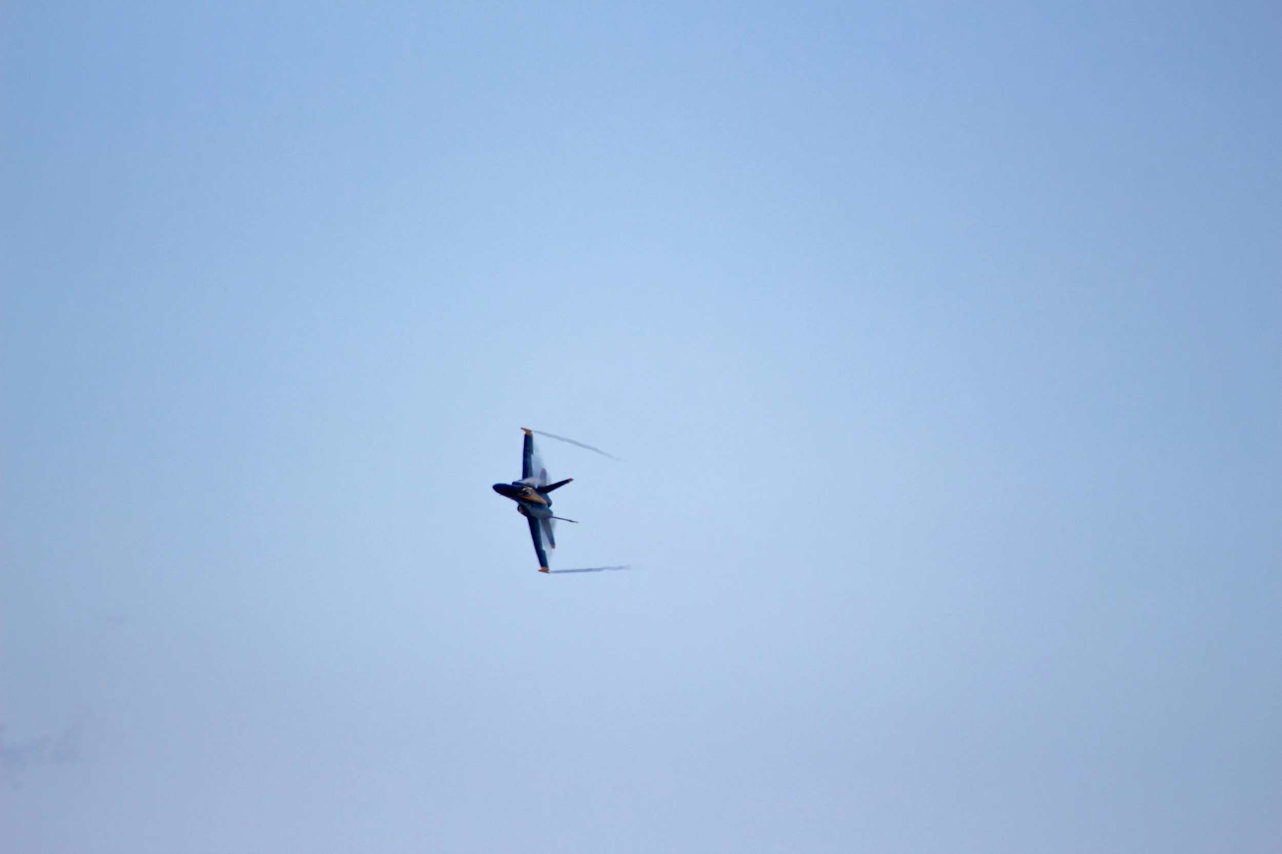 IMG_9745.jpg