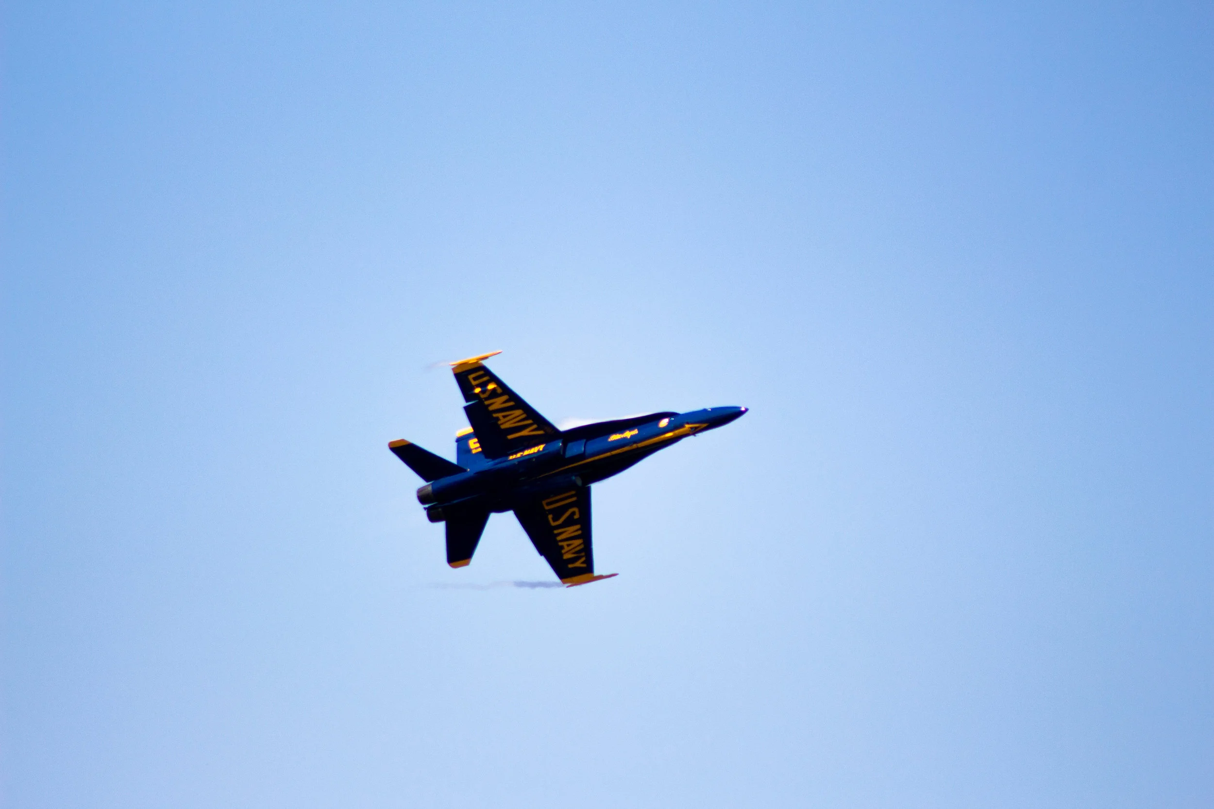 IMG_9746.jpg