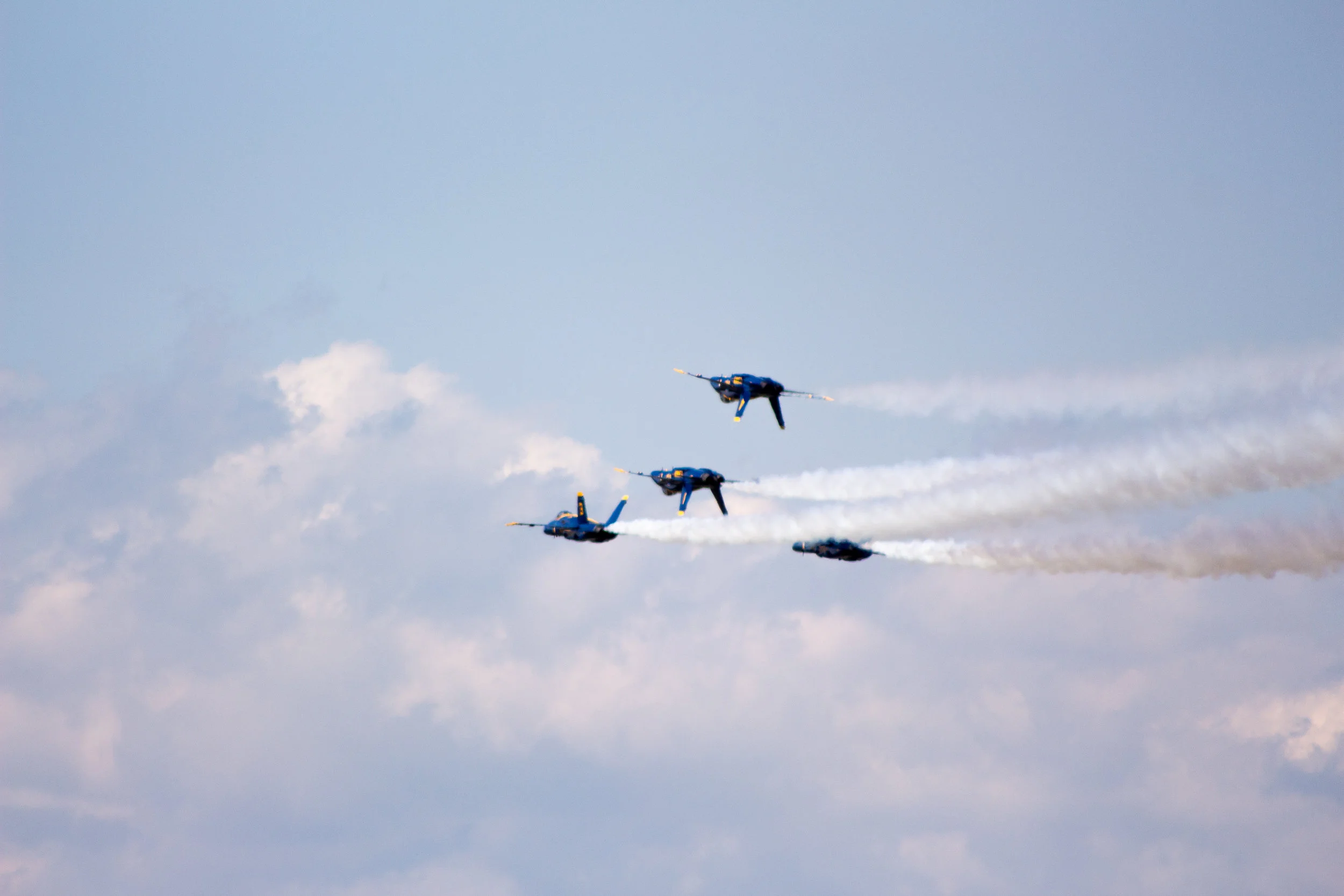IMG_9755.jpg