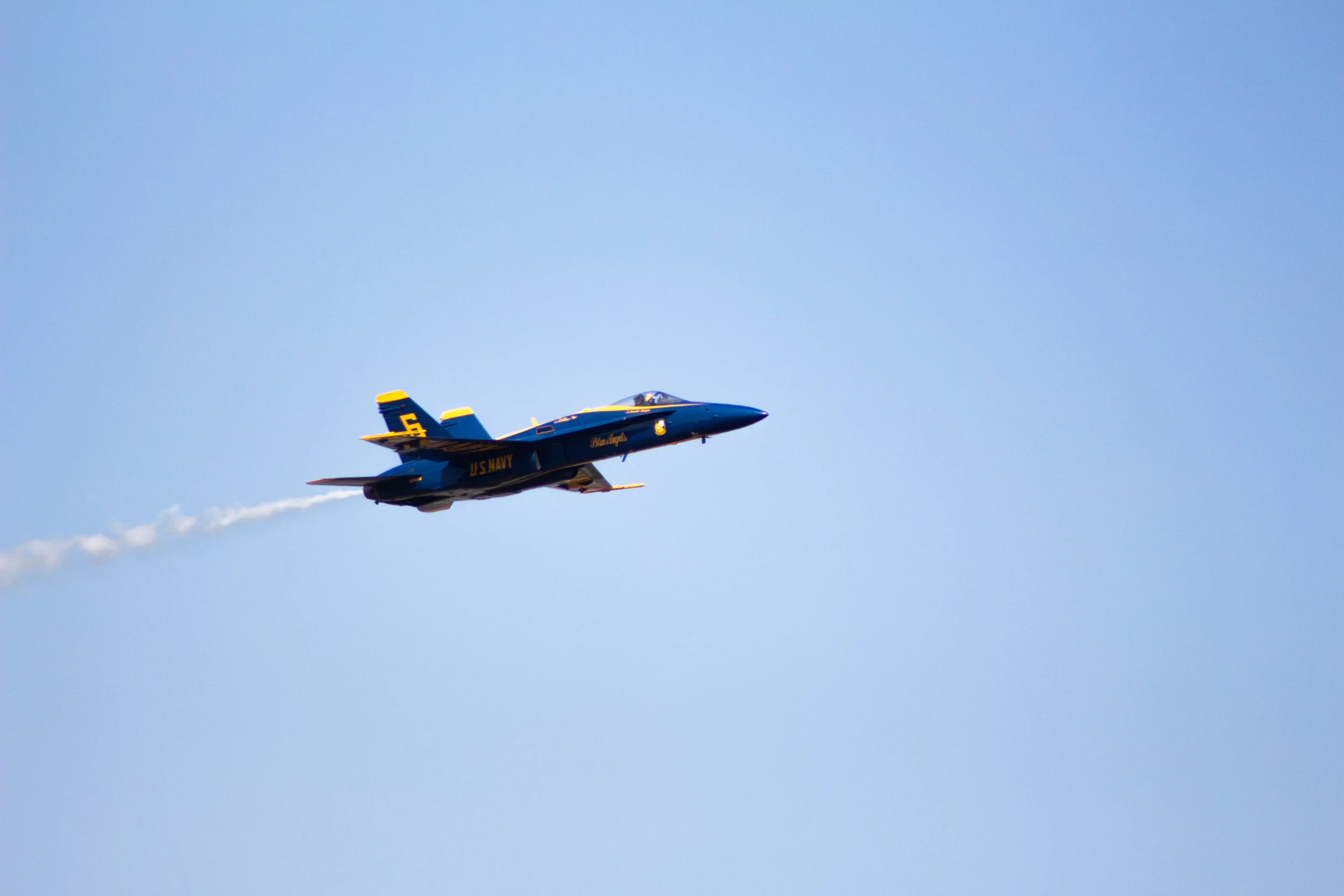 IMG_9785.jpg