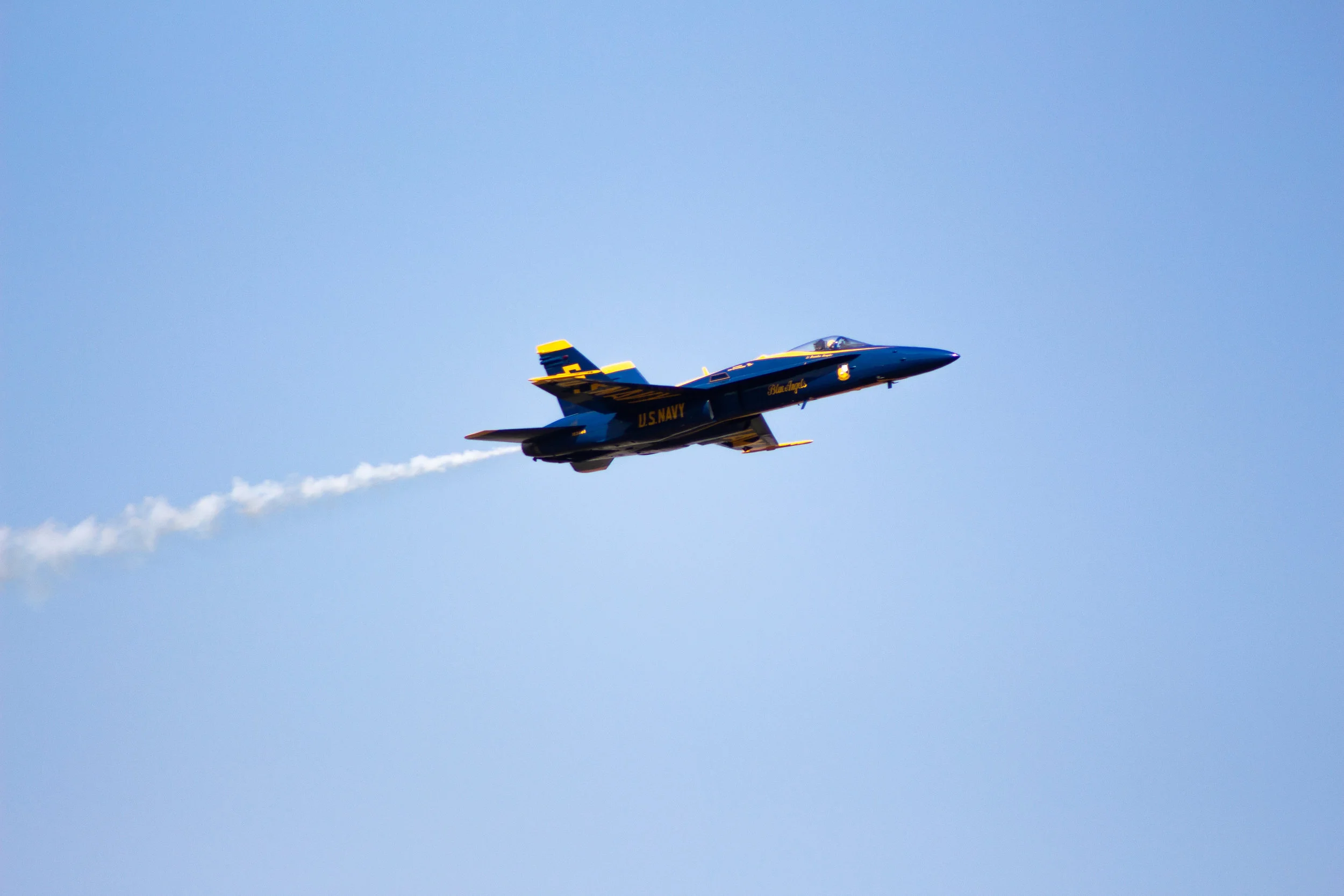 IMG_9786.jpg