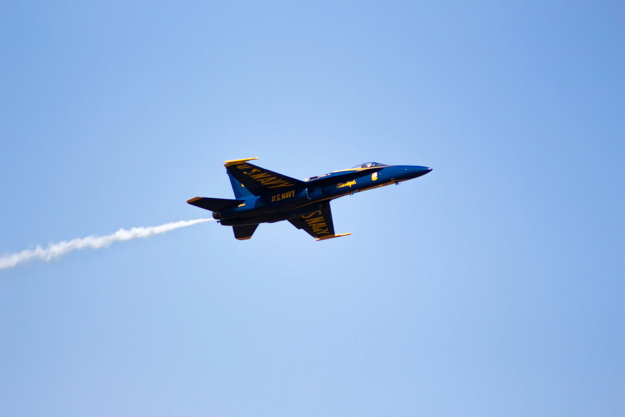 IMG_9787.jpg