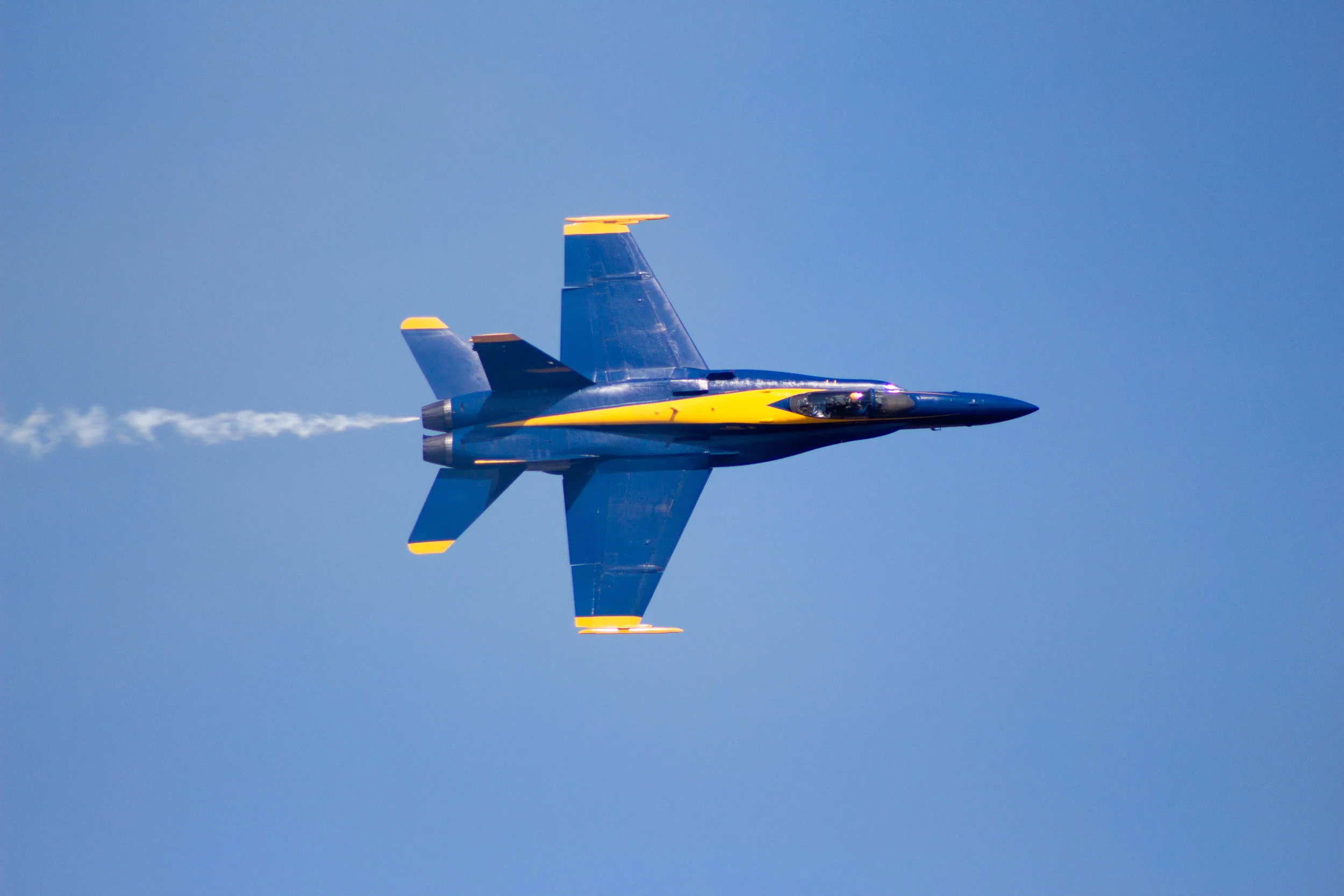 IMG_9792.jpg