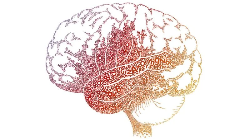 Understanding Dyslexia and the Reading Brain in Kids, MINDSHIFT