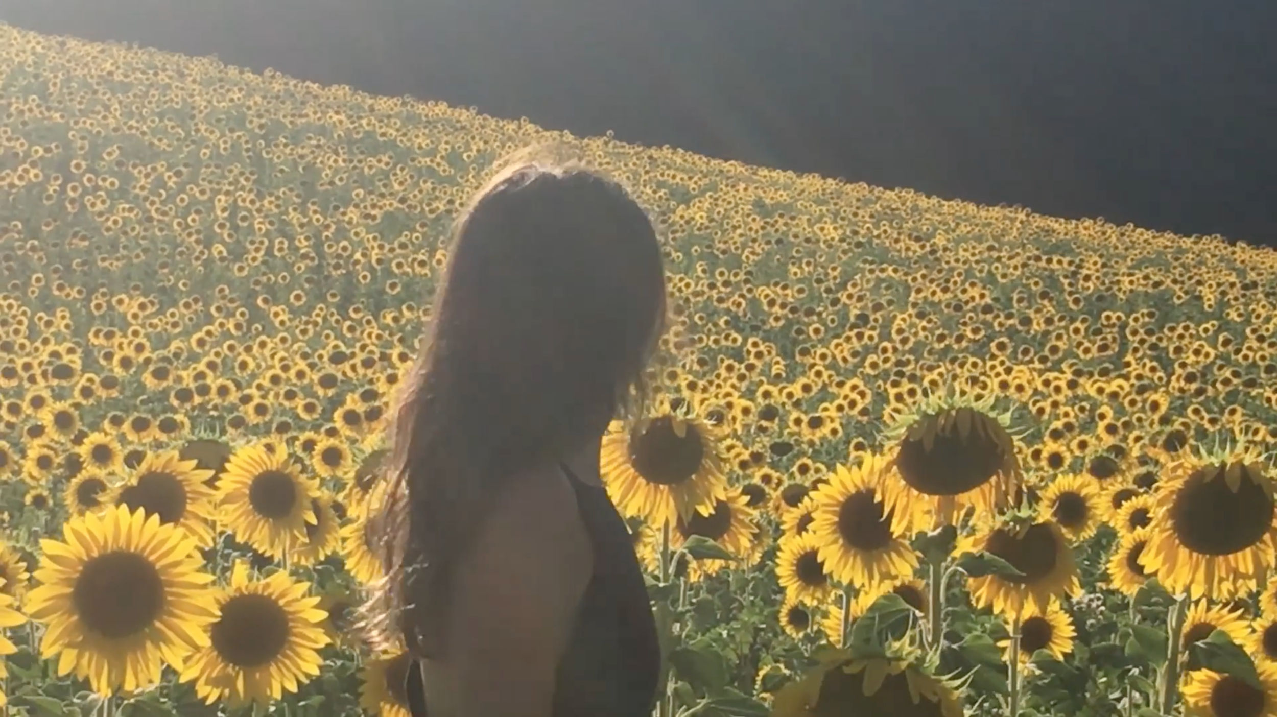 Screen Shot 2018-11-30 at 10.13.49 PM.png