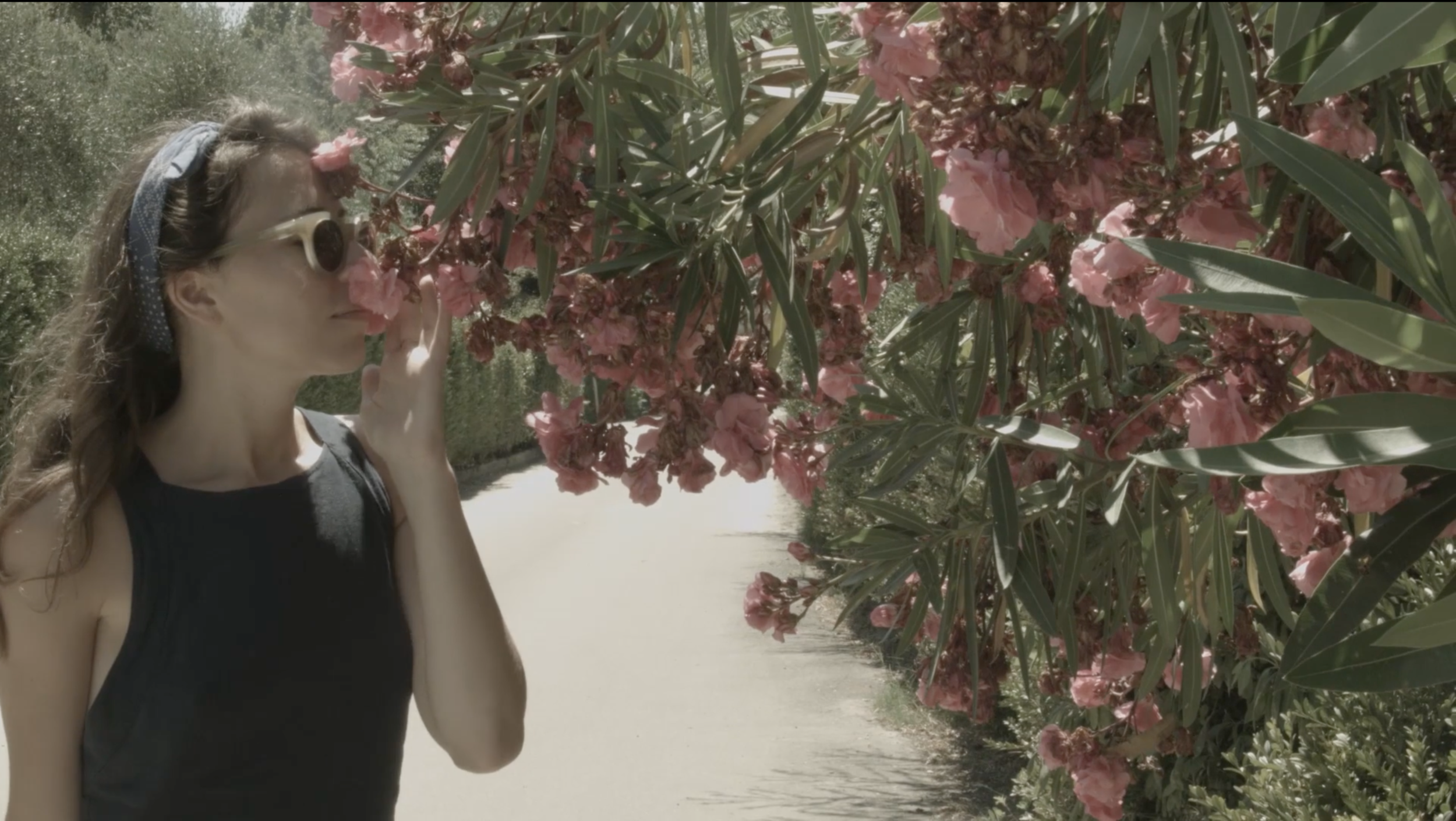 Screen Shot 2018-11-30 at 10.16.14 PM.png