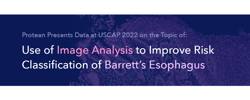 Protean Presents on the Use of Image Analysis for the Risk Classification of Barrett’s Esophagus