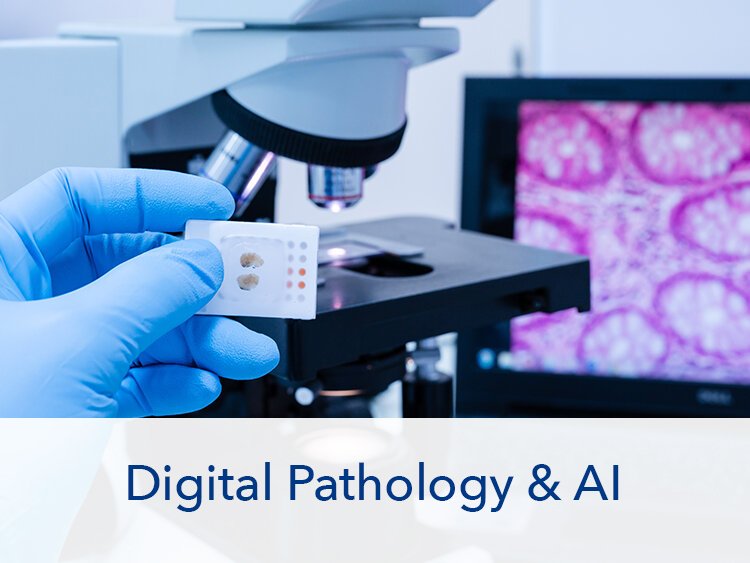 Digital Pathology & AI
