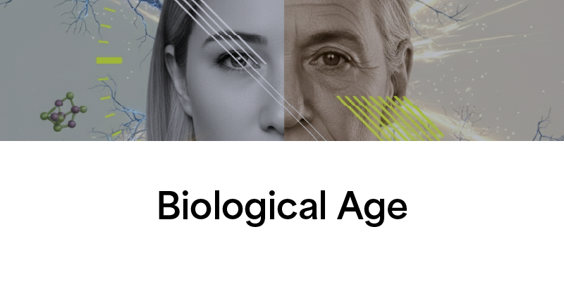 Estimates your age based on cellular changes, rather than chronological years.