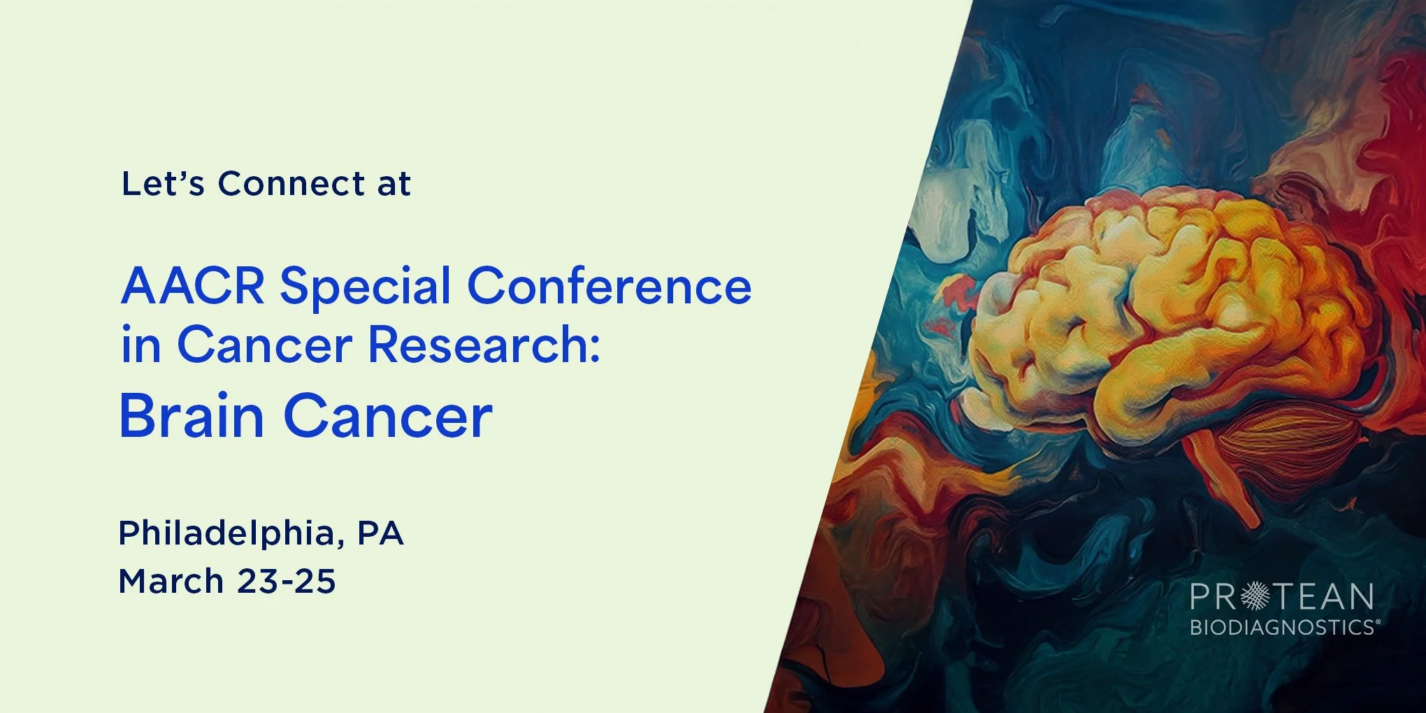 AACR Special Conference in Cancer Research: Brain Cancer