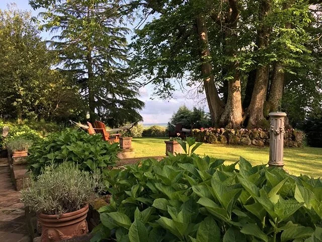 Relax in the garden in the shade of a 200 yo chestnut tree #villatorrealfina #ItalianVilla