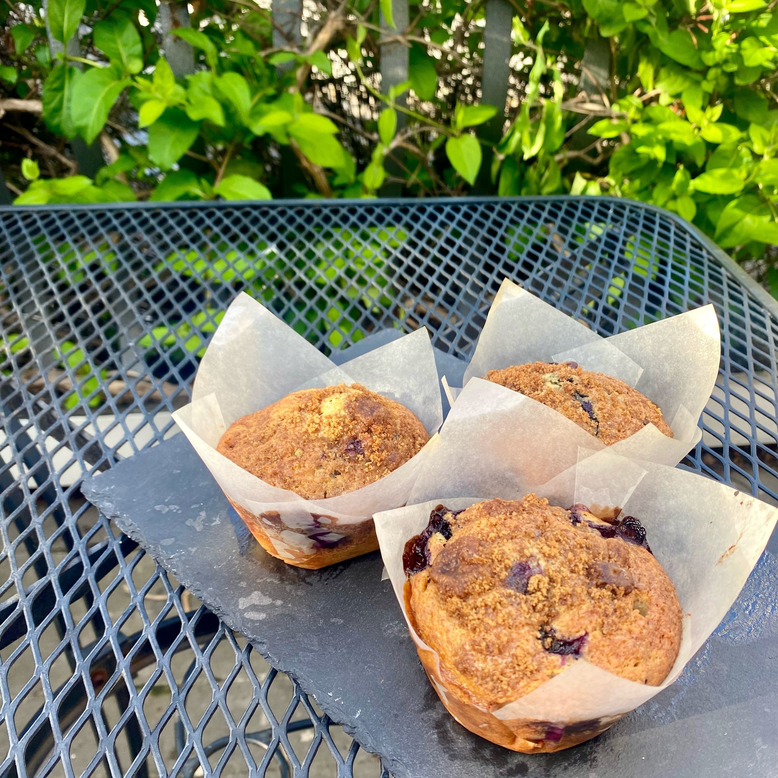 New muffin alert ‼️ 

Fresh Blueberry Muffins topped with Cinnamon Sugar Crumble! They are heavenly. 

#coffee #theriv #cafe #specialtycoffee #specialtyroaster #yelptop100 #pnw #oregon #foodie #breakfast #brunch #lunch #coffeeshop #lunchspot #smallbu