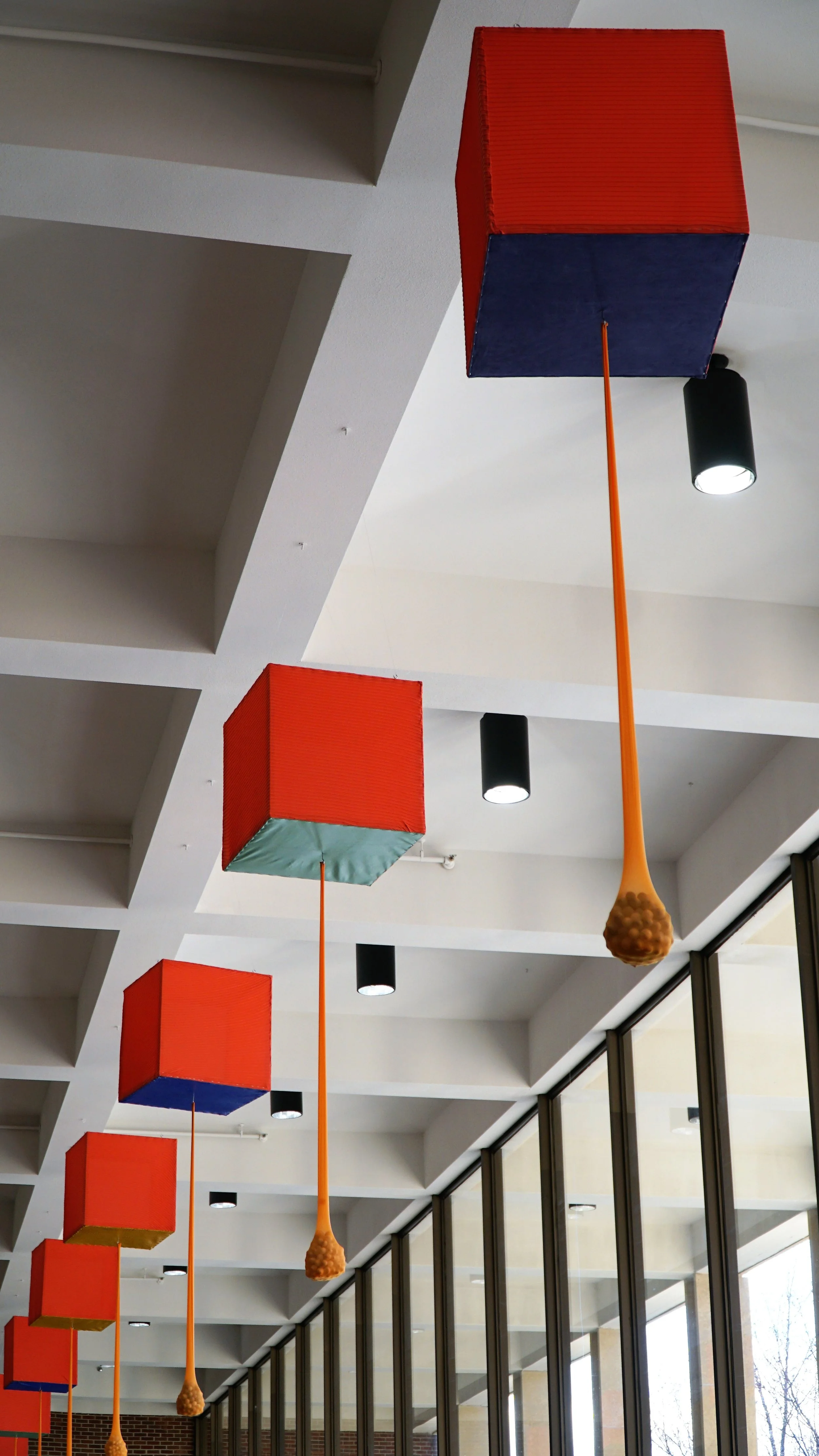 Elizabeth Stensland4.JPG