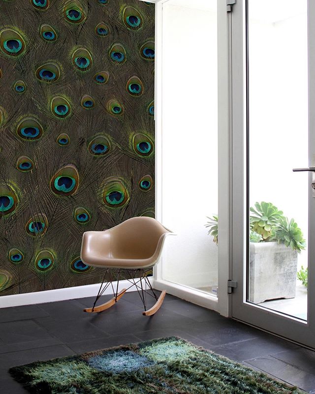 @fliepaper has so many Palm Springs perfect options, but I think the 🦚 one is a winner!  @peacockpalmsprings is available again starting April 2020. 🌵🌴🌞
.
.
.
.
.
.
#midcenturymodern #midmod #fliepaper #wallpaper #palmsprings #psp #midcenturydesi