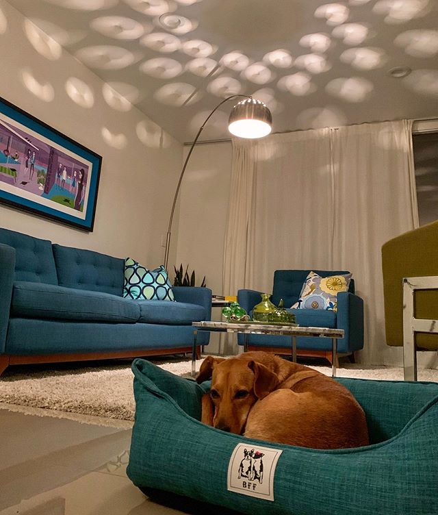 Even Sam&rsquo;s bed is on brand🦚! Available starting April 2020. .
.
.
.
.
#vrbo #instagram #lgbttravel #lgbt #gaytravel #palmsprings #vacation #airbnb #midmod #midcenturymodern #midcenturydesign #modernism #peacock #turquoise #desert #coachella #l