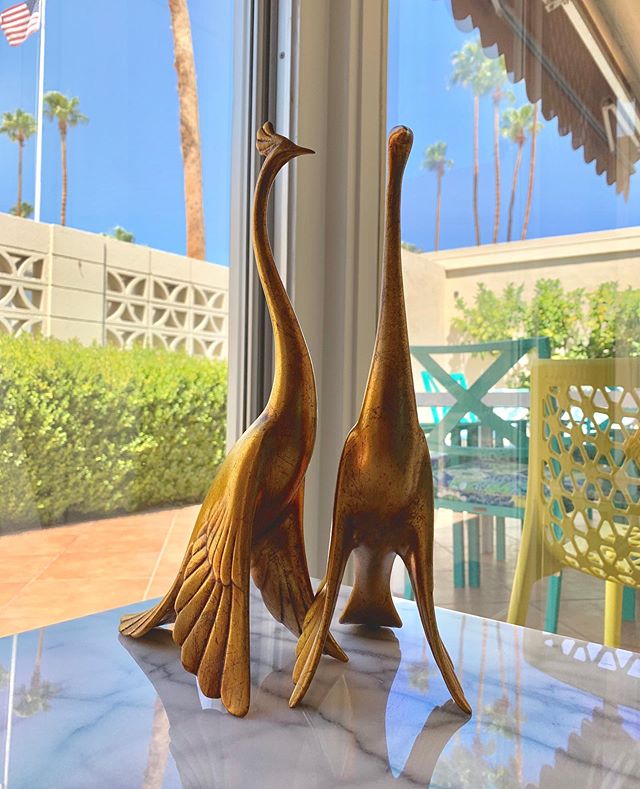 Newest addition to the 🦚! 🚻. A big thanks to @craig.rushing and @troutcorgi for this fantastic 🎁. .
.
.
#peacock #palmsprings #midmod #midcenturymodern #psp #vrbo #airbnb #desertlife