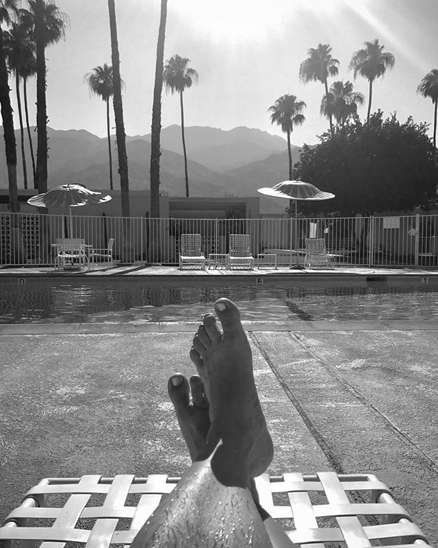 Desert Life 😃🌴🌵🌞
.
.
.
.
.
.
 #vrbo #instagay #lgbttravel #desertlife #peacock #midcenturymodern #vacationrental #palmsprings #gaytravel #airbnb #socal #california #ilovegaypalmsprings #homeawayfromhome #coachella