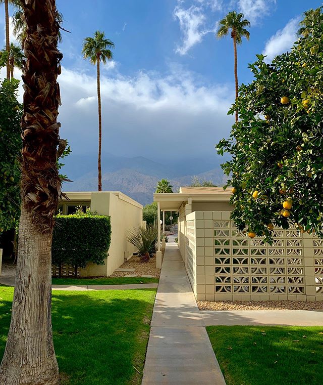 &ldquo;Grab a bottle, hunker down, and pray for daylight!&rdquo; ☔️ 😱
.
.
.
.
.
.
.
#palmsprings #socal #holiday #desertlife #breezeblocks #midmod #midcenturymodern #midcenturyhome #vrbo #airbnb #homeawayfromhome #california