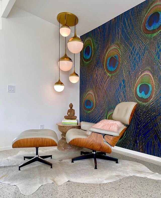 Peacock Dreams 😍💚💙 📸: @clintonmeyerphoto .
.
.
.
.
.
.
#midcenturymodern #peacock #mcm #midmod #architecturephotography #psp #vrbo #airbnb #midcenturydesign #modernism #desertlife