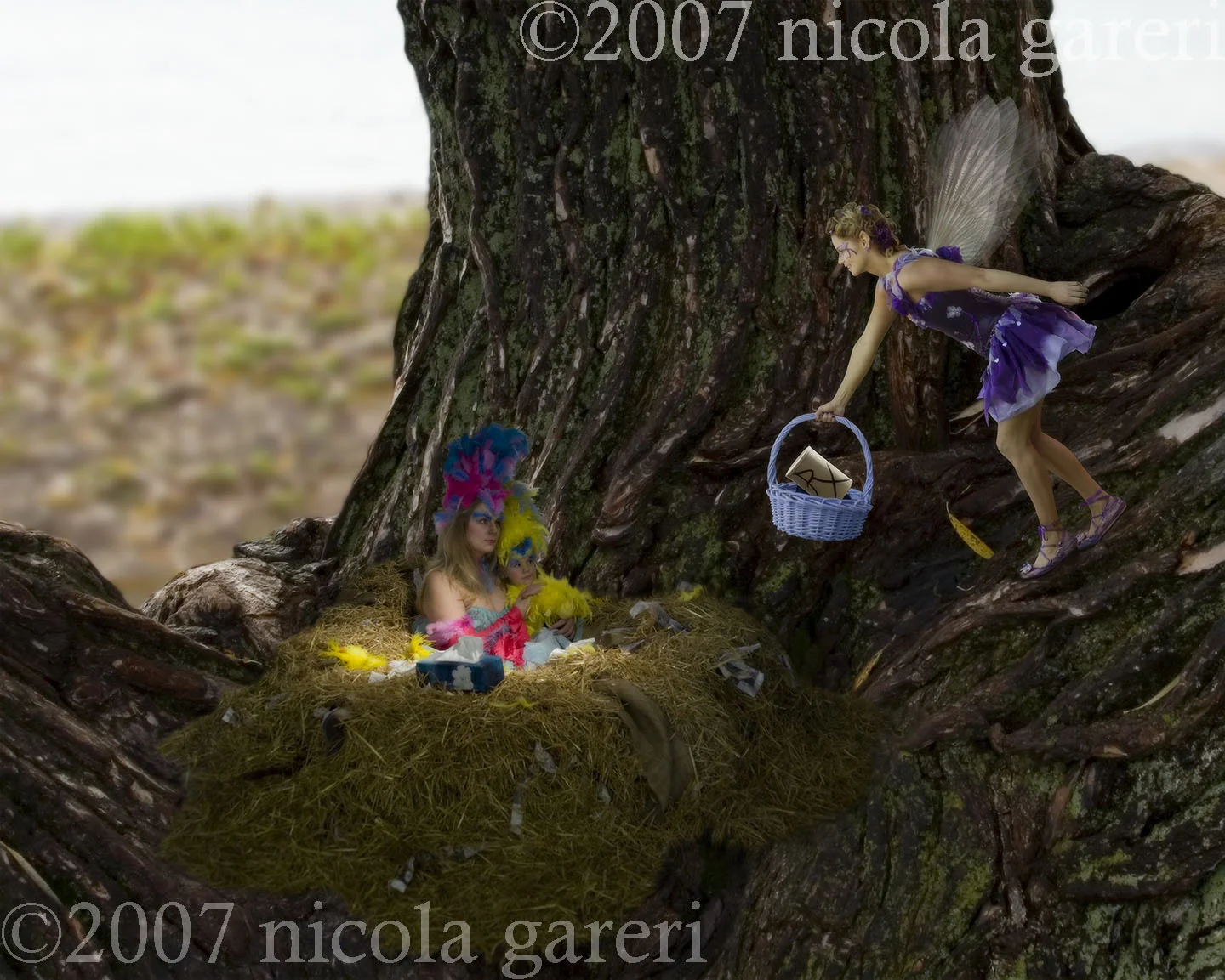 14 Bird Flu Composite.jpg