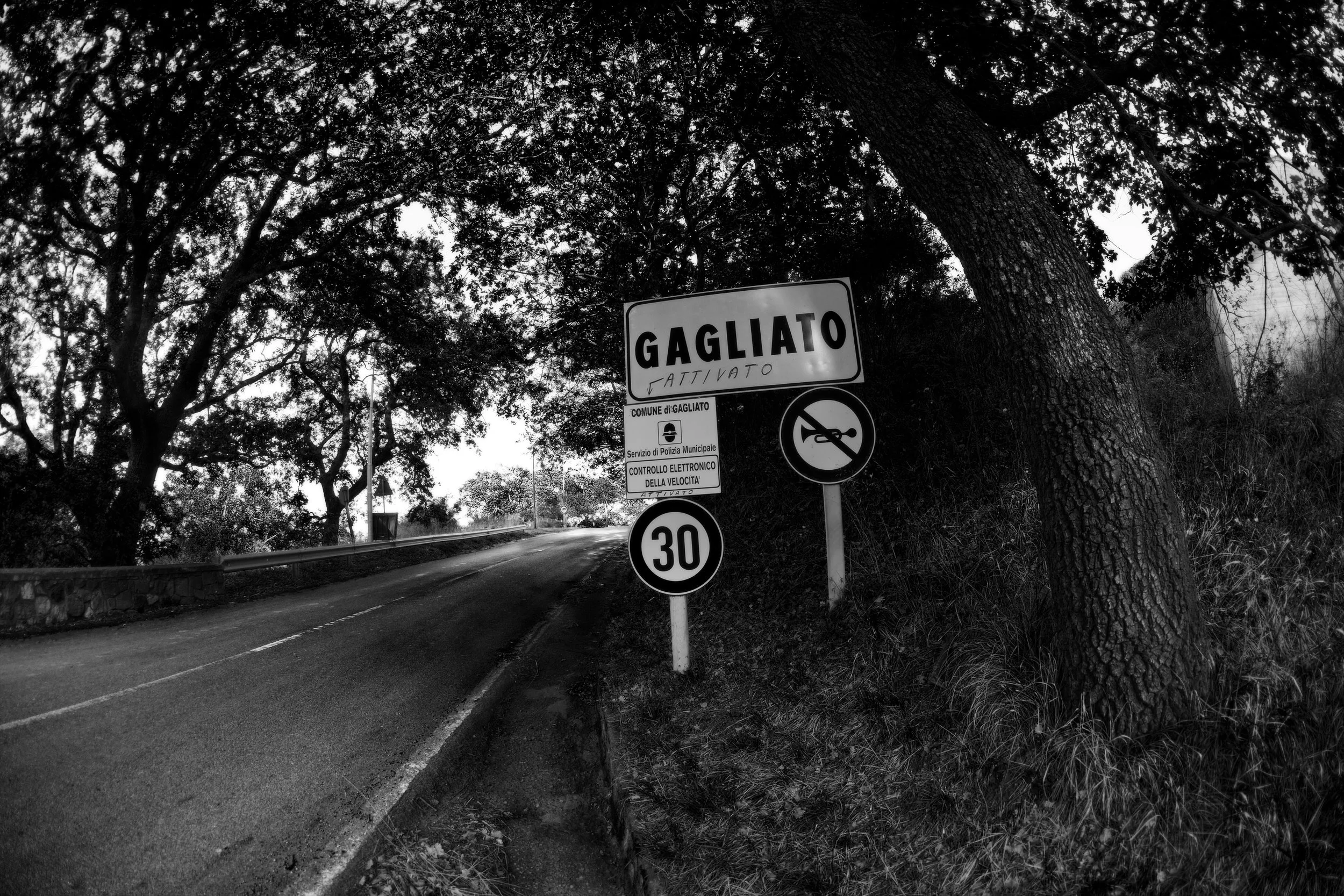 Gagliato_1901r21x14_Blur_100_Sharp_75_Layered_USM_65_2_0 copy.jpg