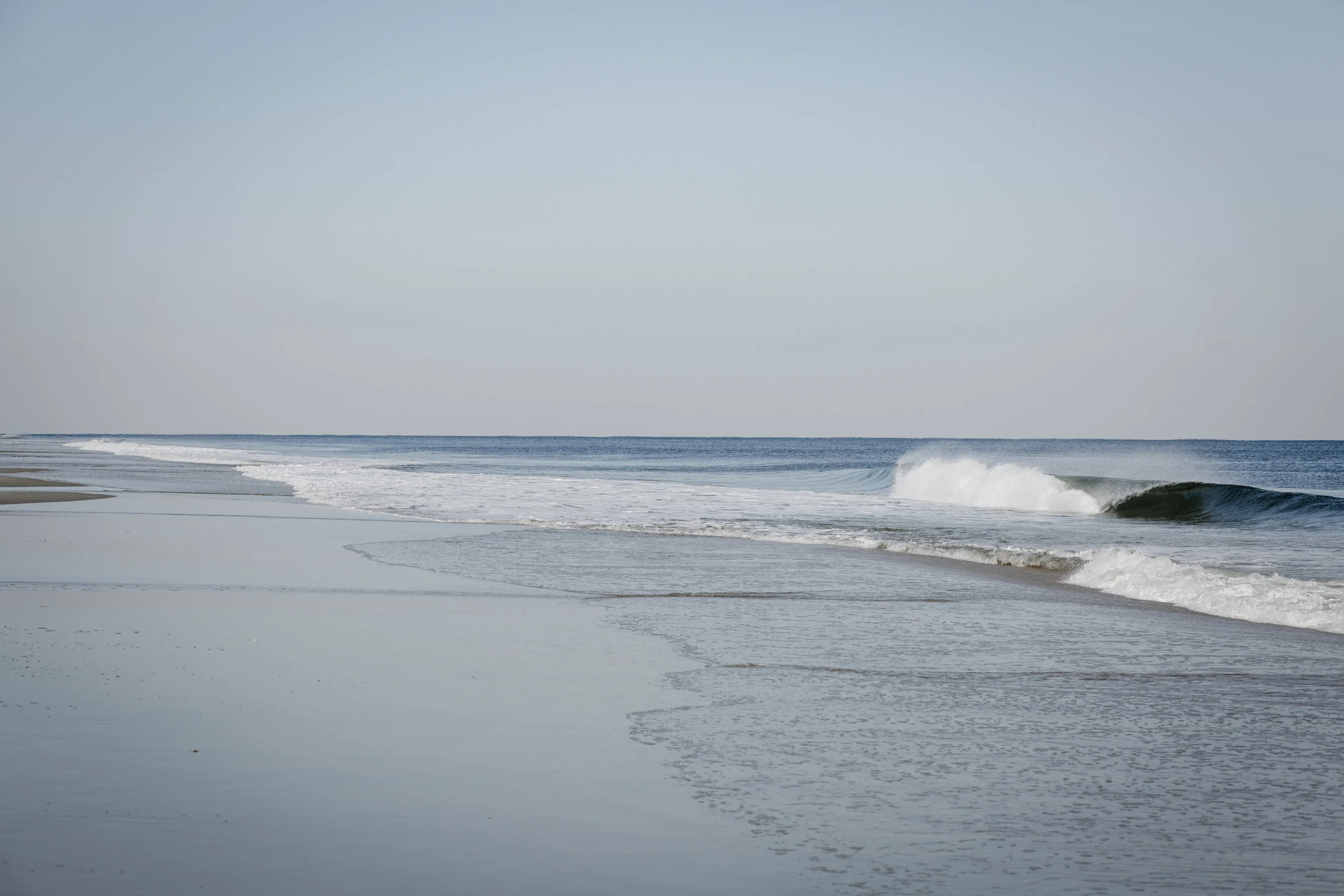 Sandy Curl