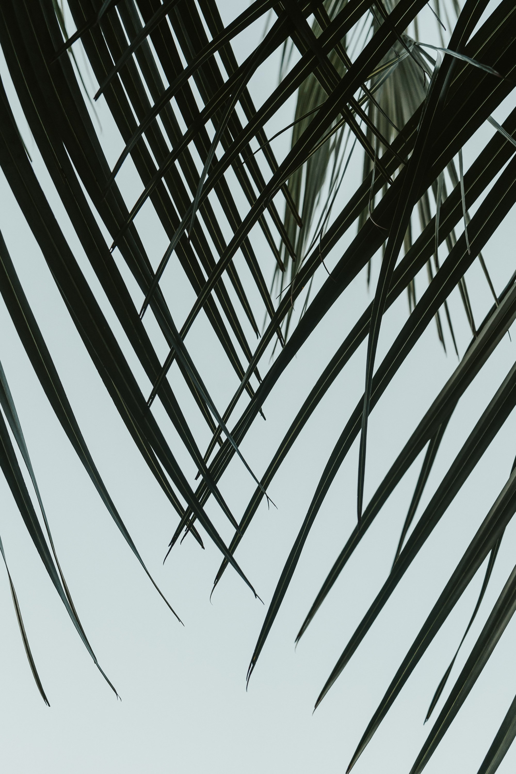 NCEdits. (2 of 2).jpg