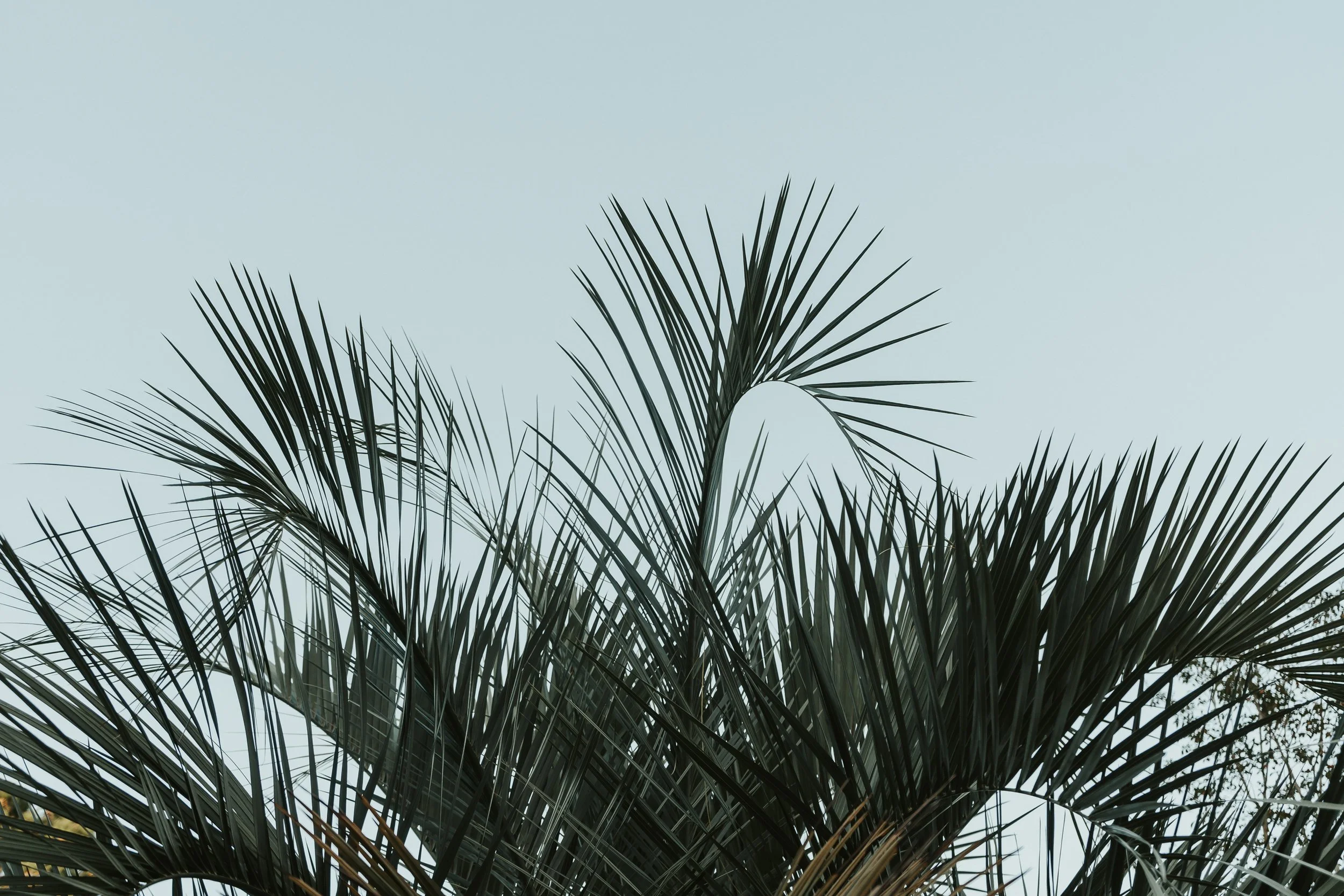 NCEdits. (1 of 2).jpg