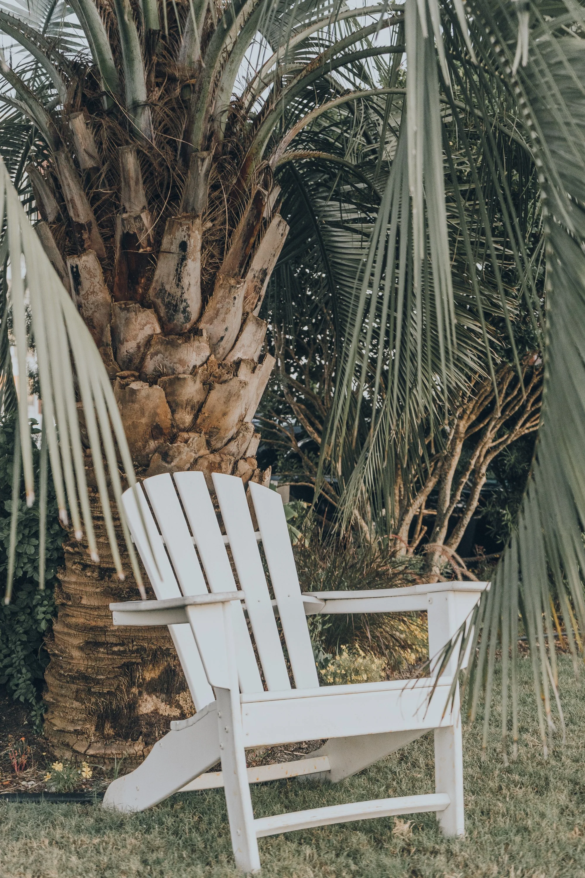 NC_09.21 (11 of 42).jpg